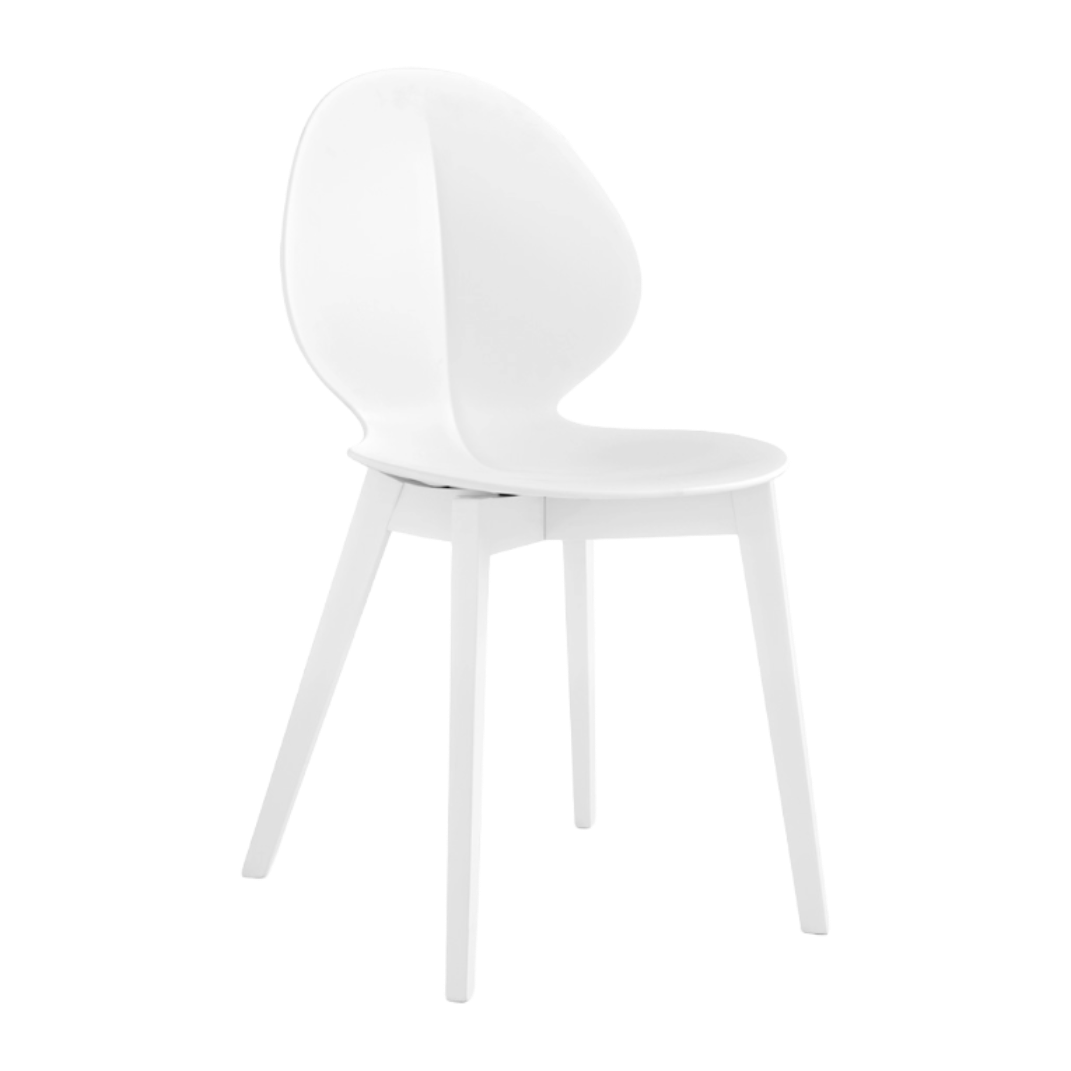 BASIL Chair with White Seat and White Wooden Base