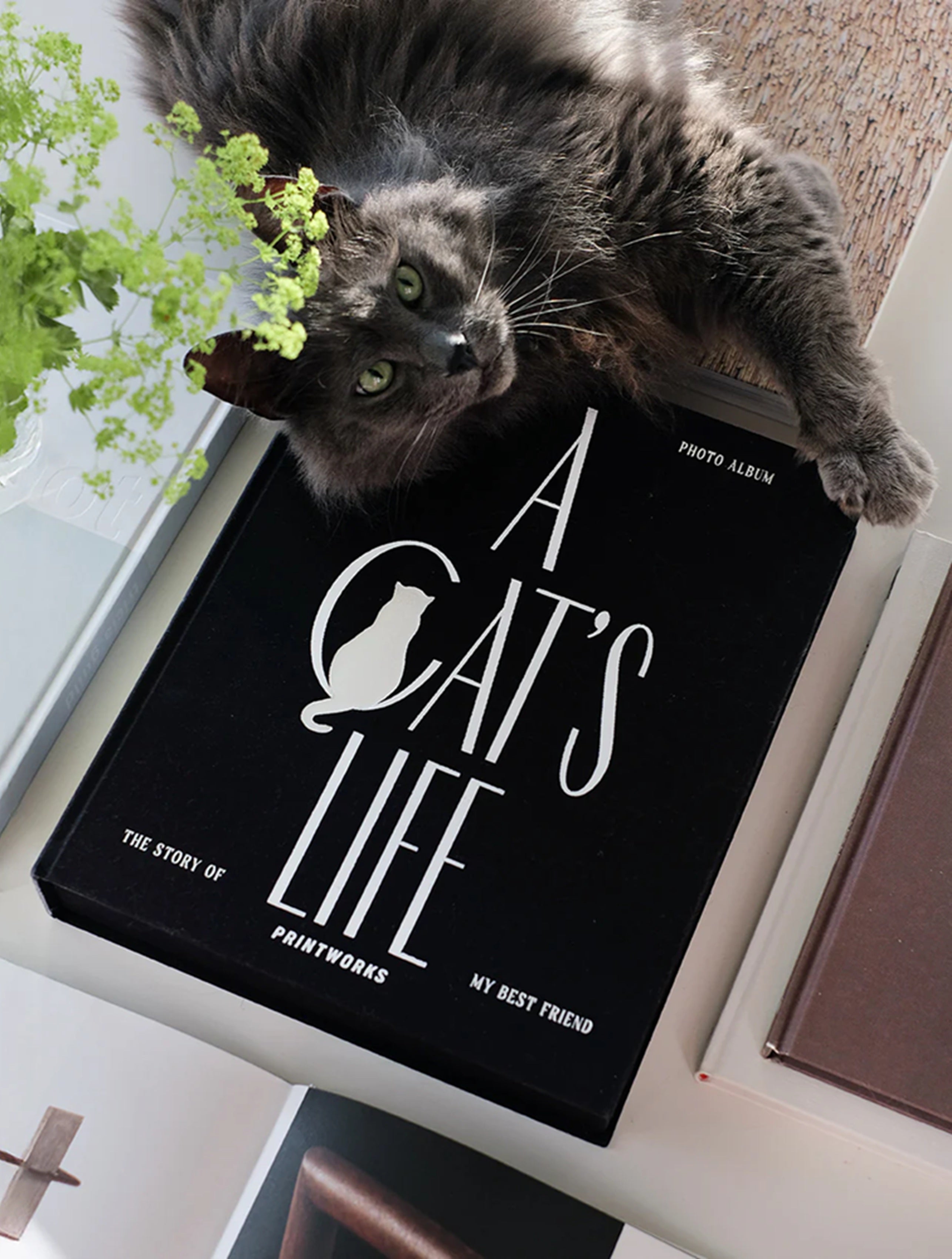 Album na fotografie A CAT'S LIFE čierny
