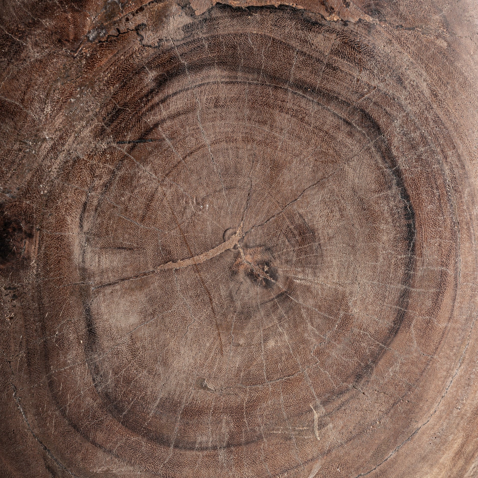 Konsola VIANNE z dreva suar