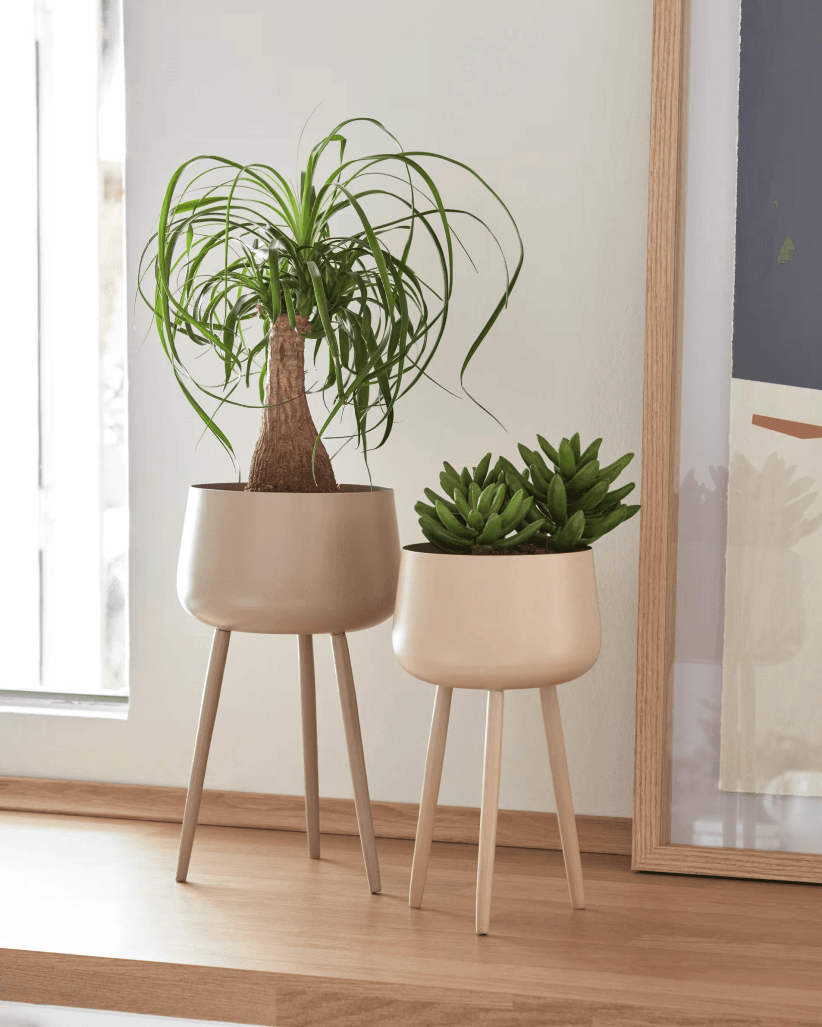 Doniczka APIA beżowy La Forma Eye on Design