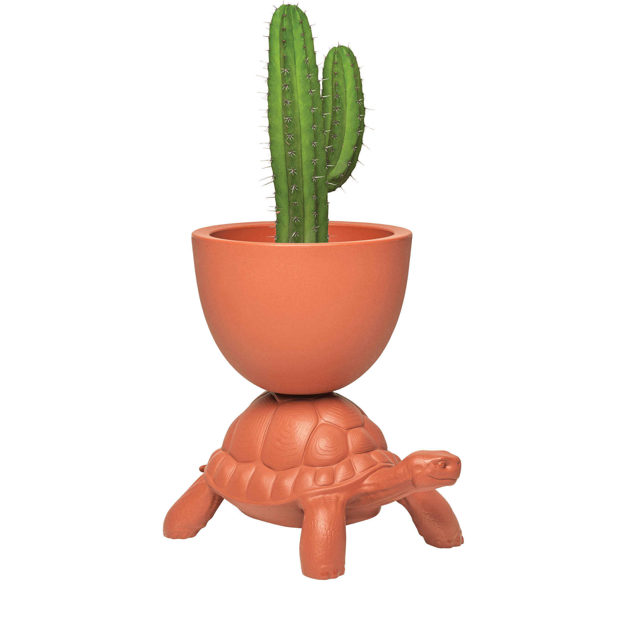 Doniczka TURTLE CARRY terakota Qeeboo Eye on Design