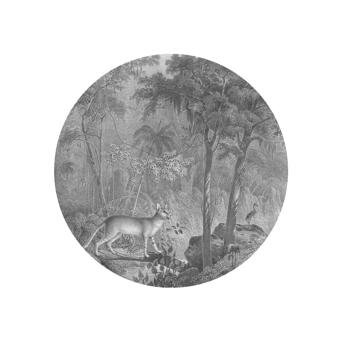 Wall Lamp DOTS LIGHTING - JUNGLE CAT gray