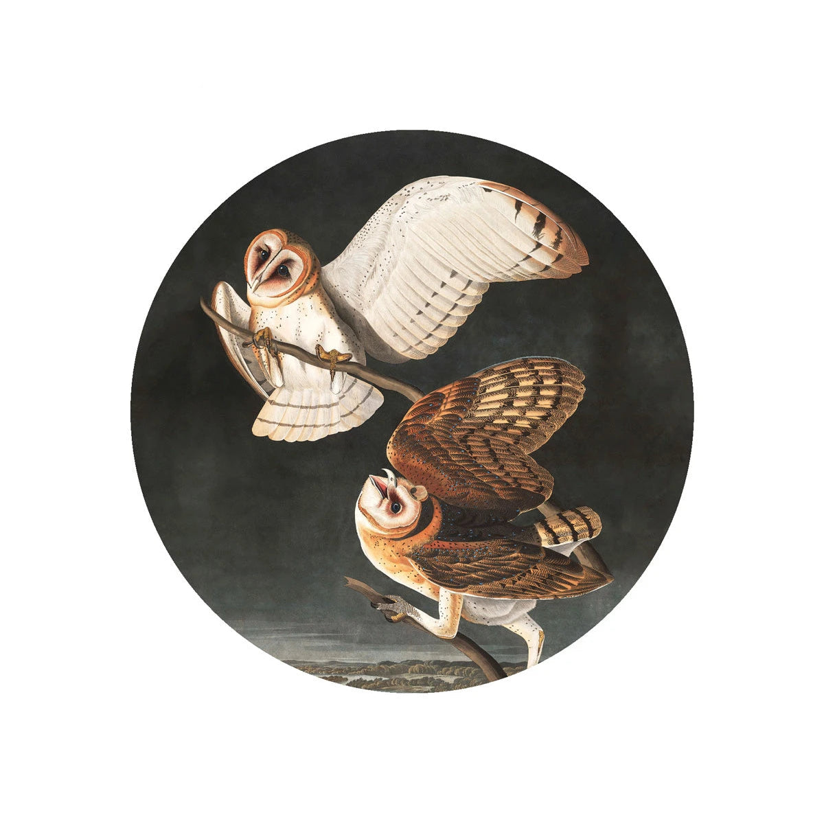 Wall Lamp DOTS LIGHTING - OWLS Dark Gray