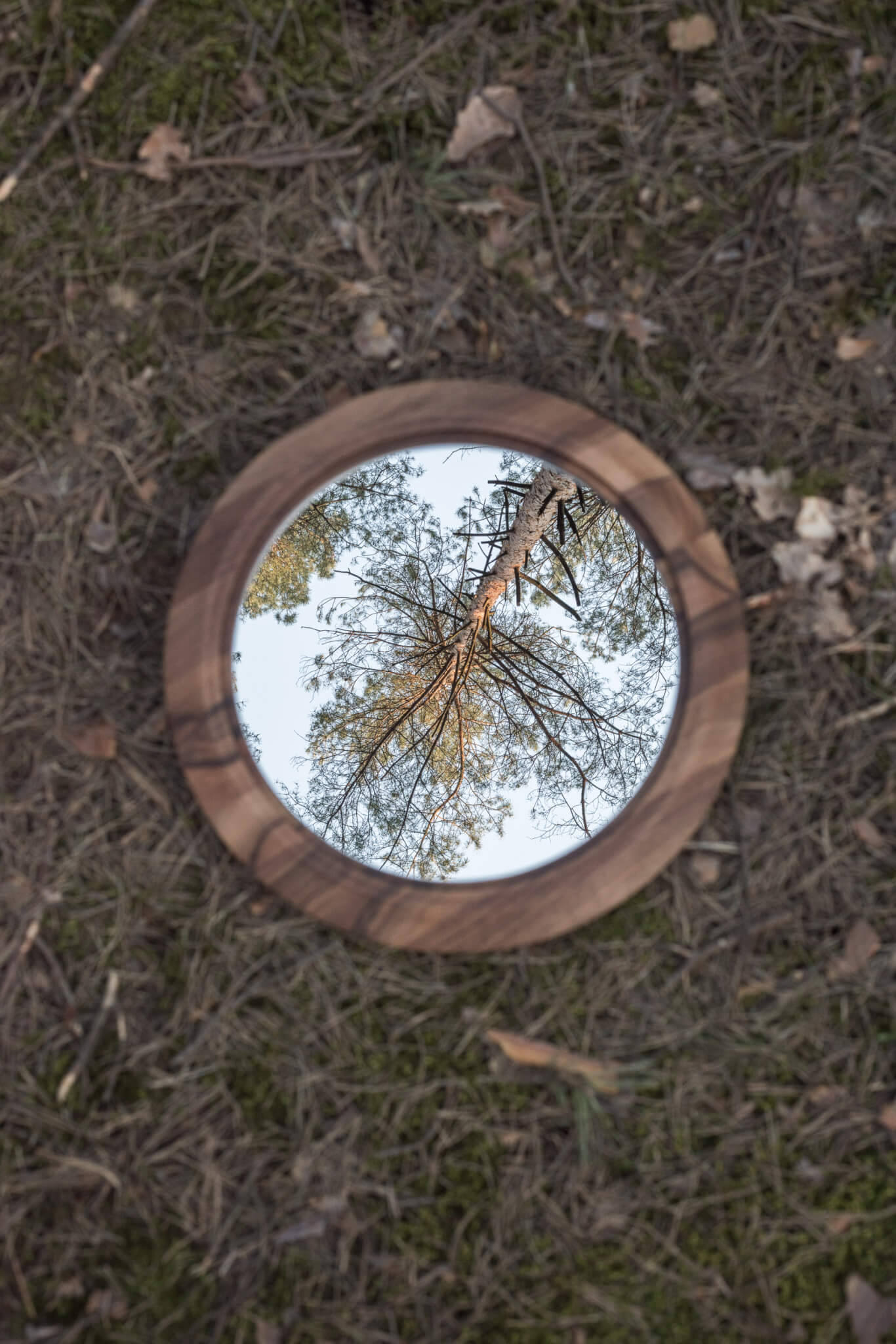 Disk Mirror 1 Walnut