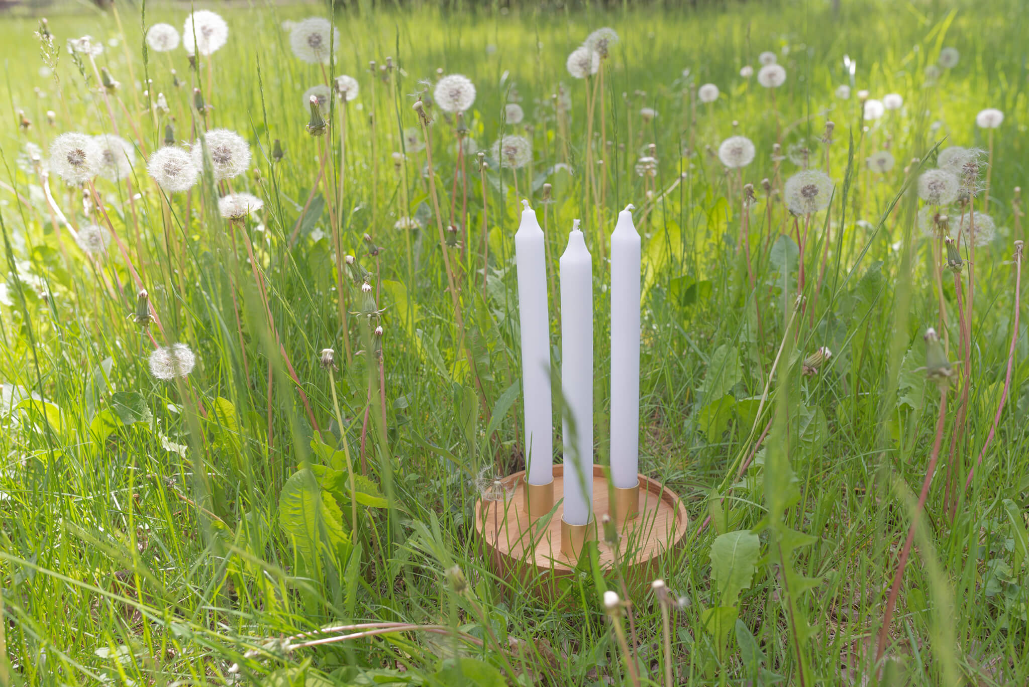 ENLIGHTENMENT 3 Oak Candle Holder with Brass