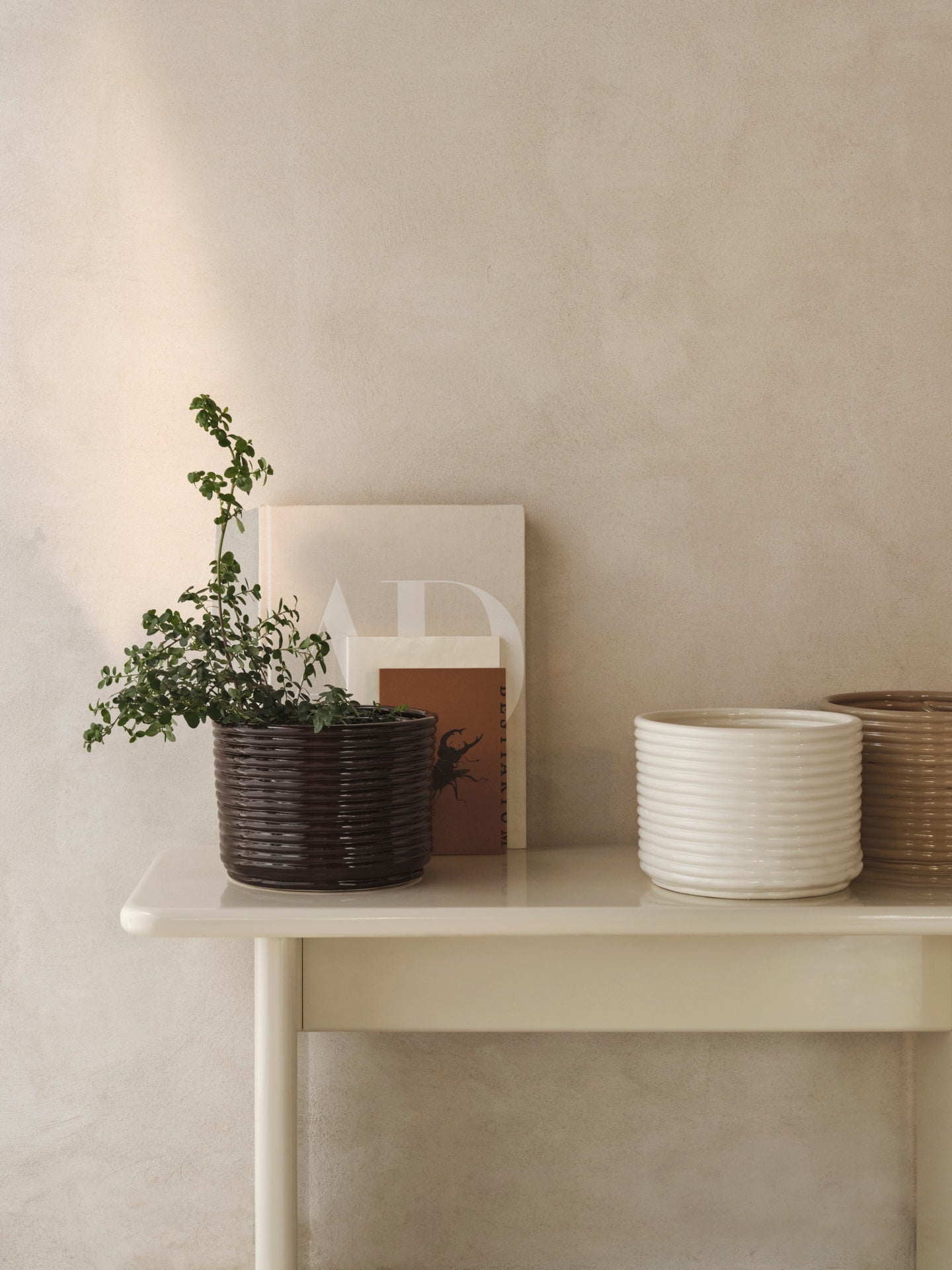 Corduroy pot cream