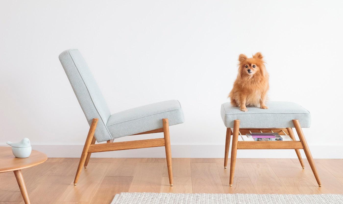 Fotel klubowy FOX żółty w tkaninie Boucle Mustard 366 concept Eye on Design