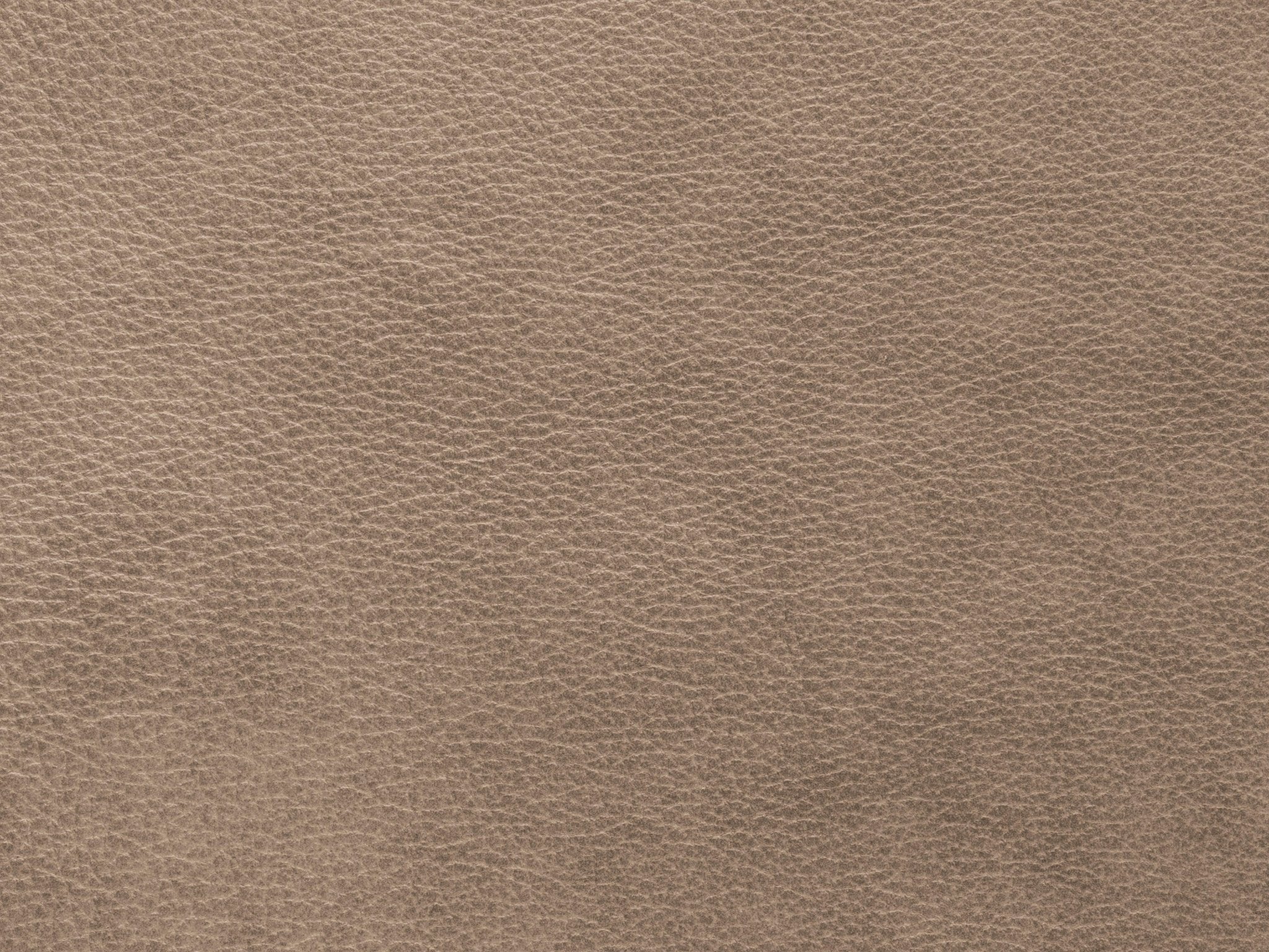 Fotel skórzany MONI cappuccino Maison Heritage Eye on Design