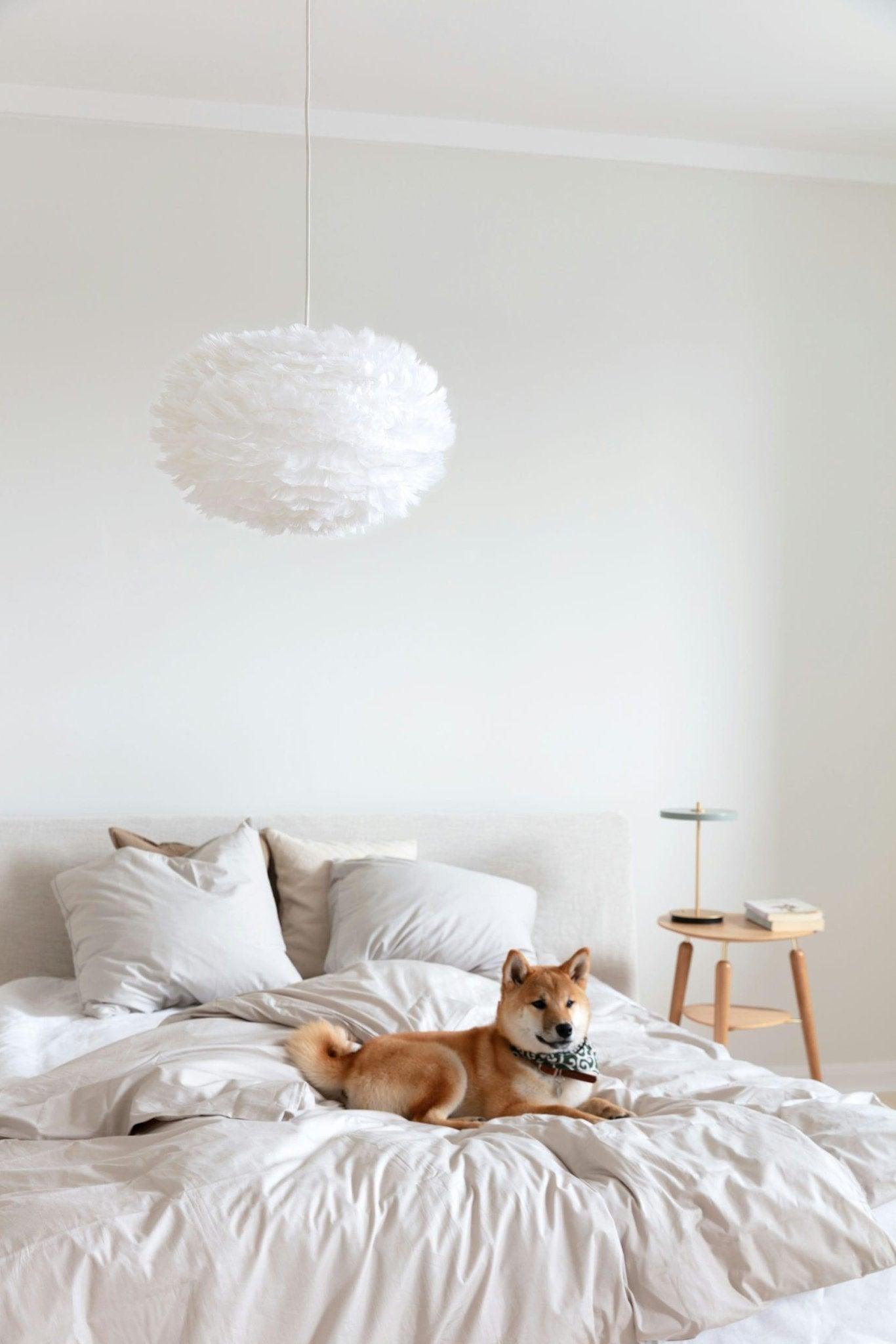 Lampa przenośna ASTERIA MOVE pistacjowy UMAGE Eye on Design