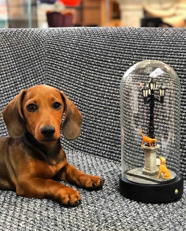 Lampa stołowa MY LITTLE EVENING Seletti Eye on Design