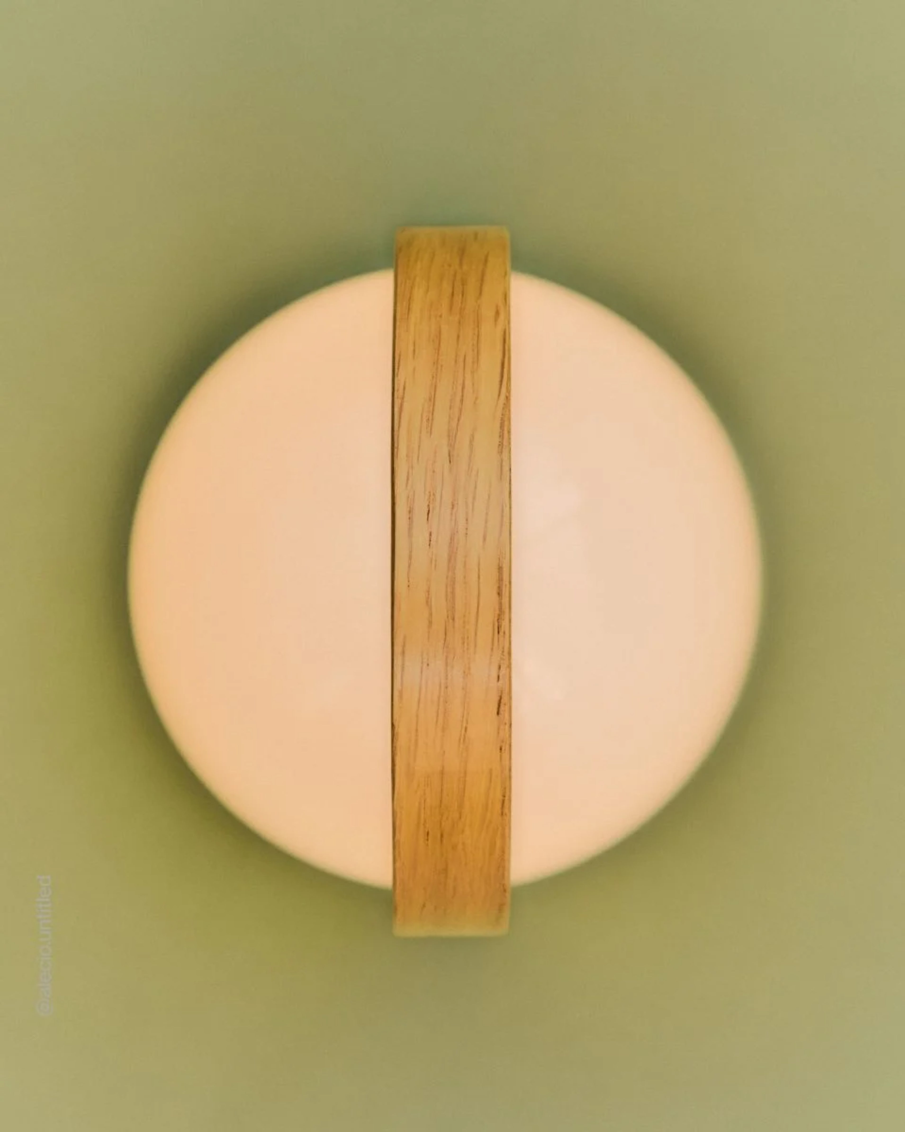 Prenosná lampa FOLLOWME biela s hnedou