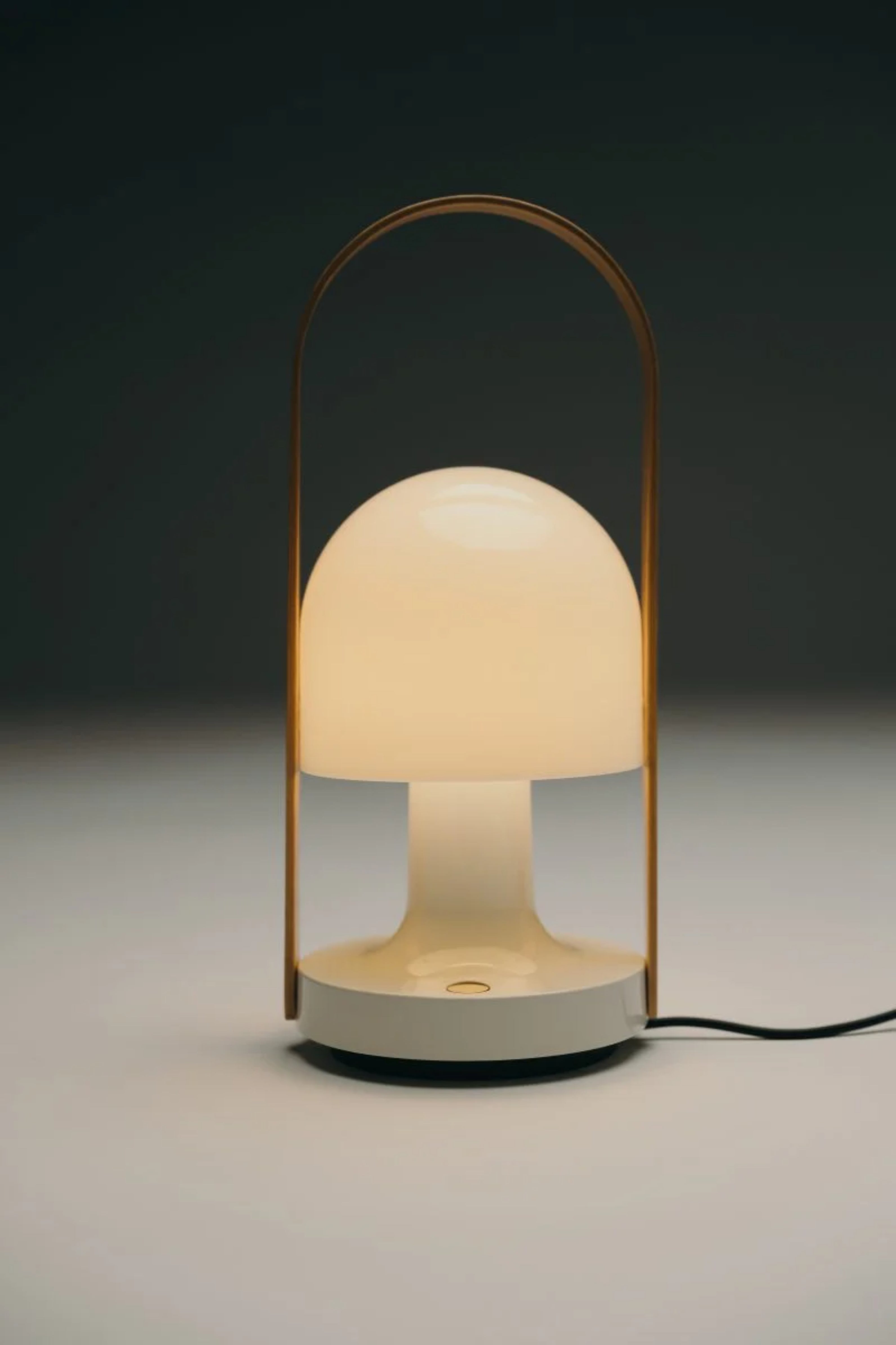 Prenosná lampa FOLLOWME biela s hnedou
