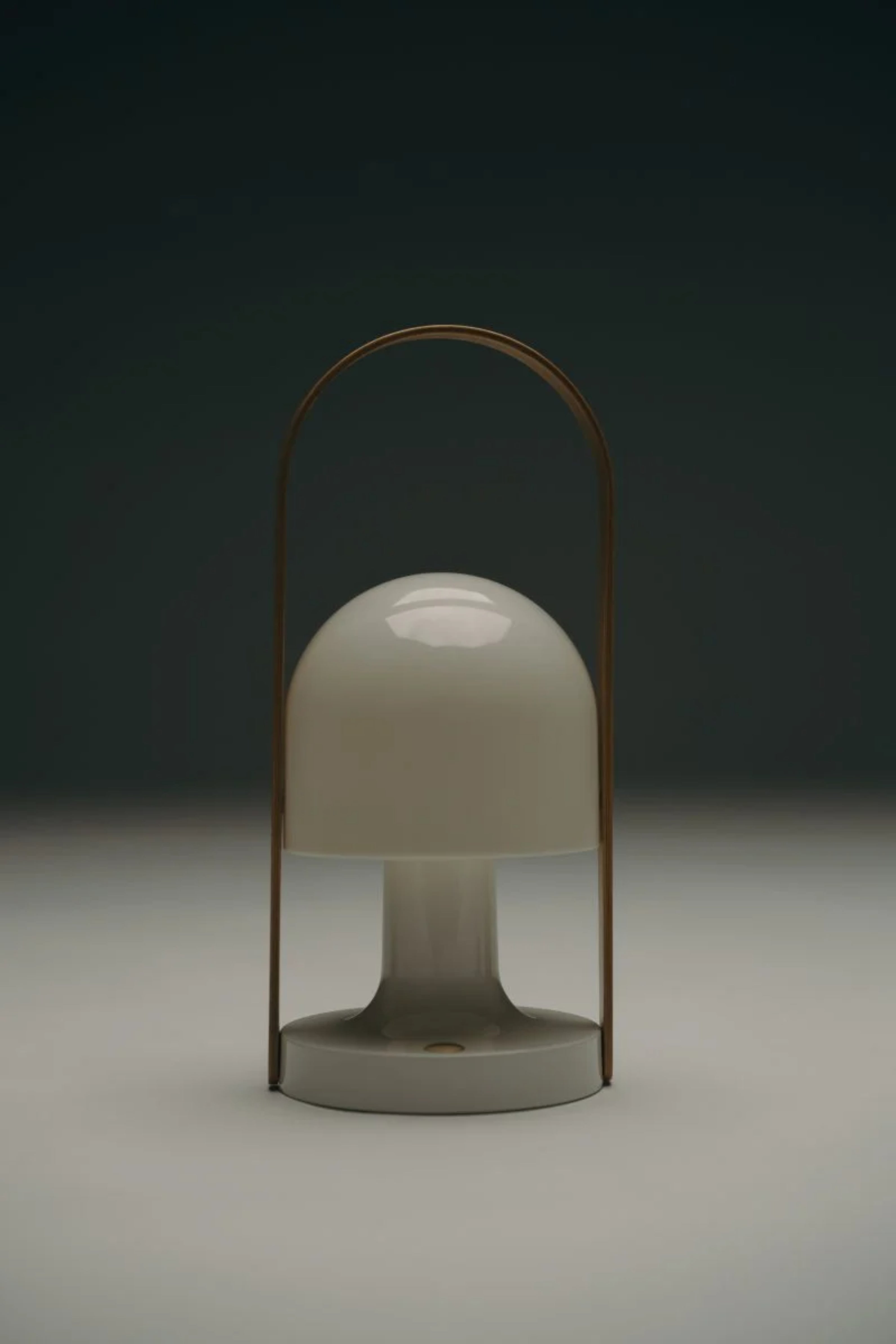 Prenosná lampa FOLLOWME biela s hnedou