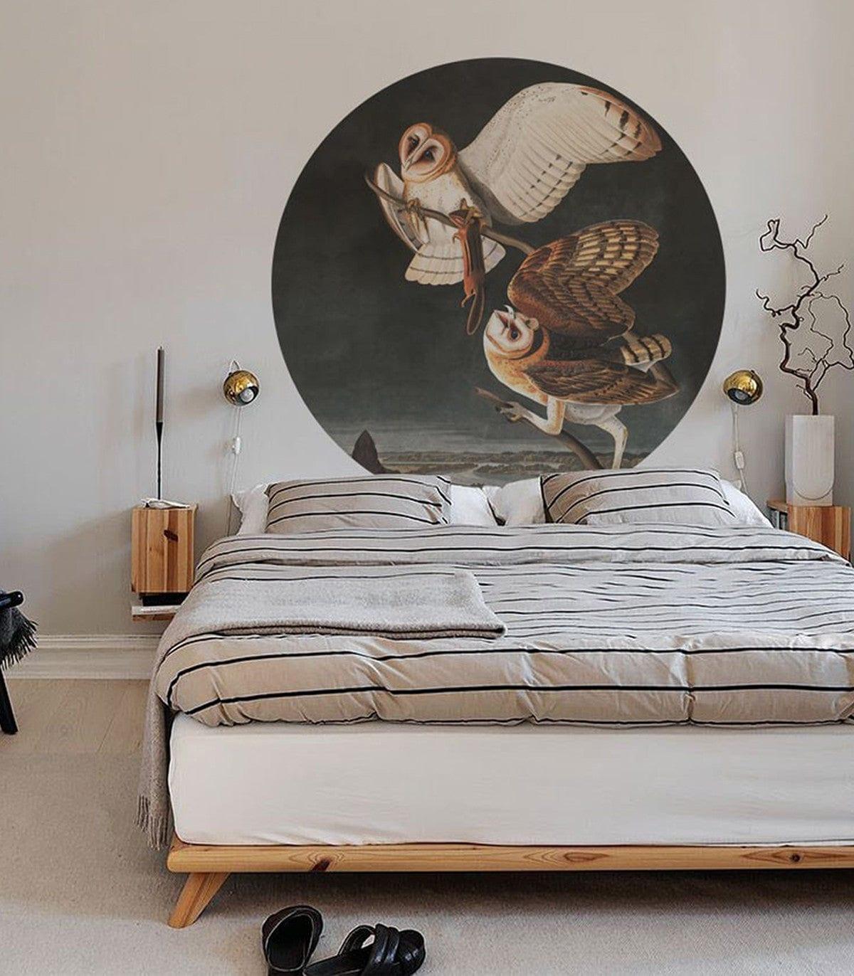 Mural DOTS OWLS Wallcolors Eye on Design