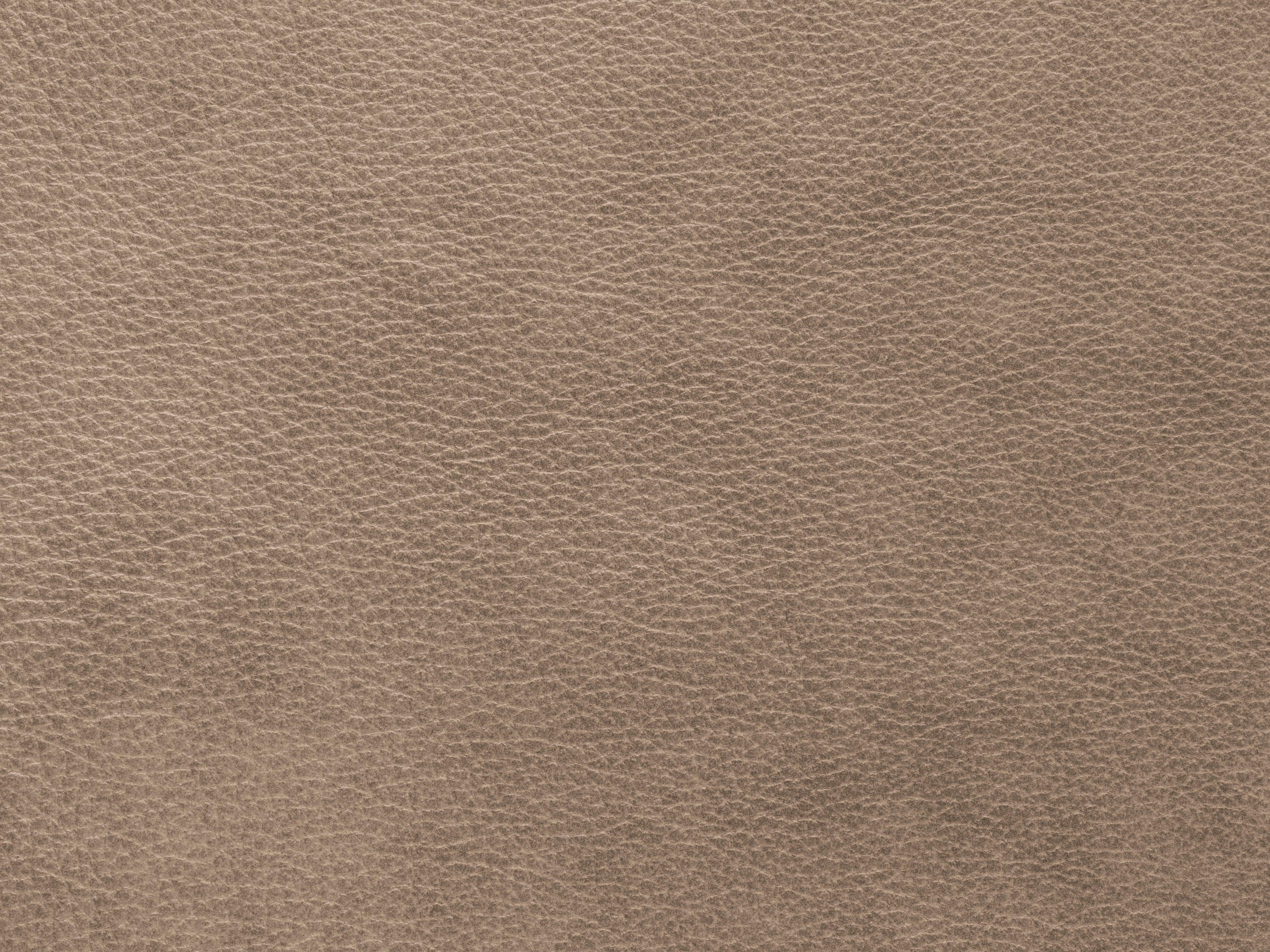 Narożnik skórzany symetryczny MONI cappuccino Maison Heritage Eye on Design