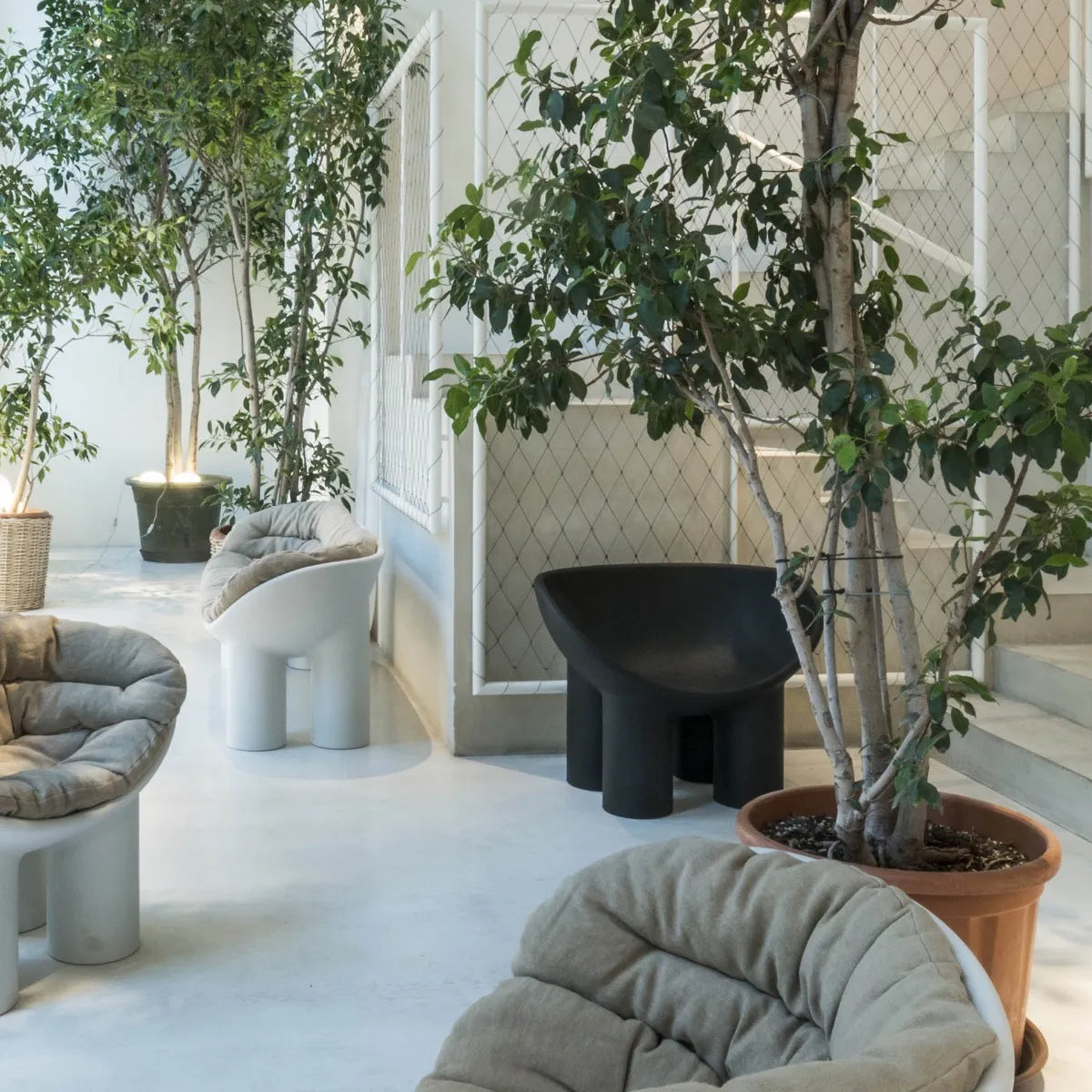 Chair ROLLE Coal Poly