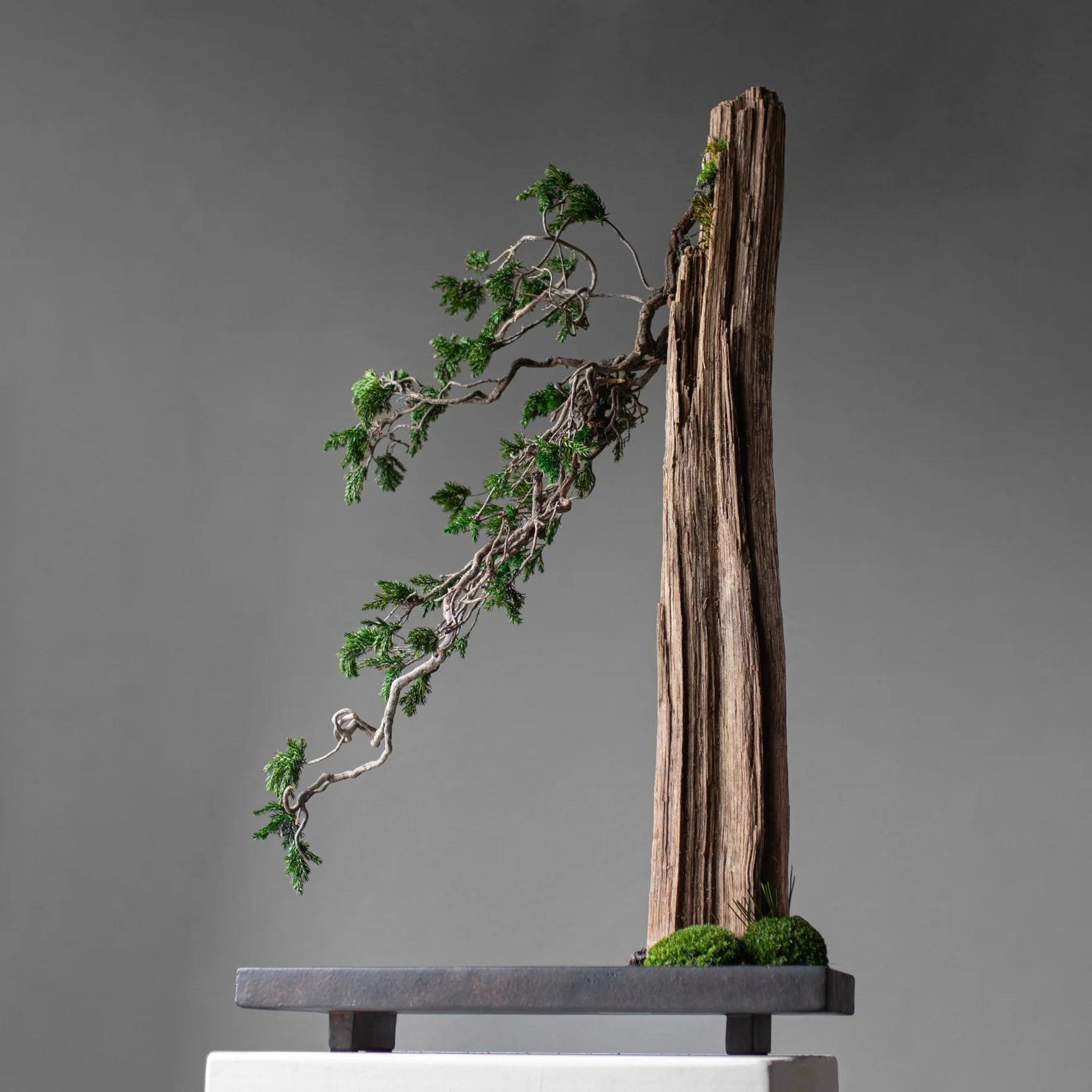 Taca OKA ciemnobrązowy 101 Copenhagen Eye on Design