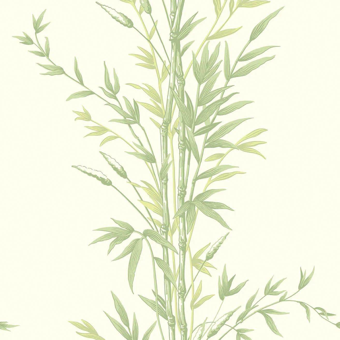 Tapeta ARCHIVE ANTHOLOGY - Bamboo zielony na bieli Cole & Son Default Title Eye on Design