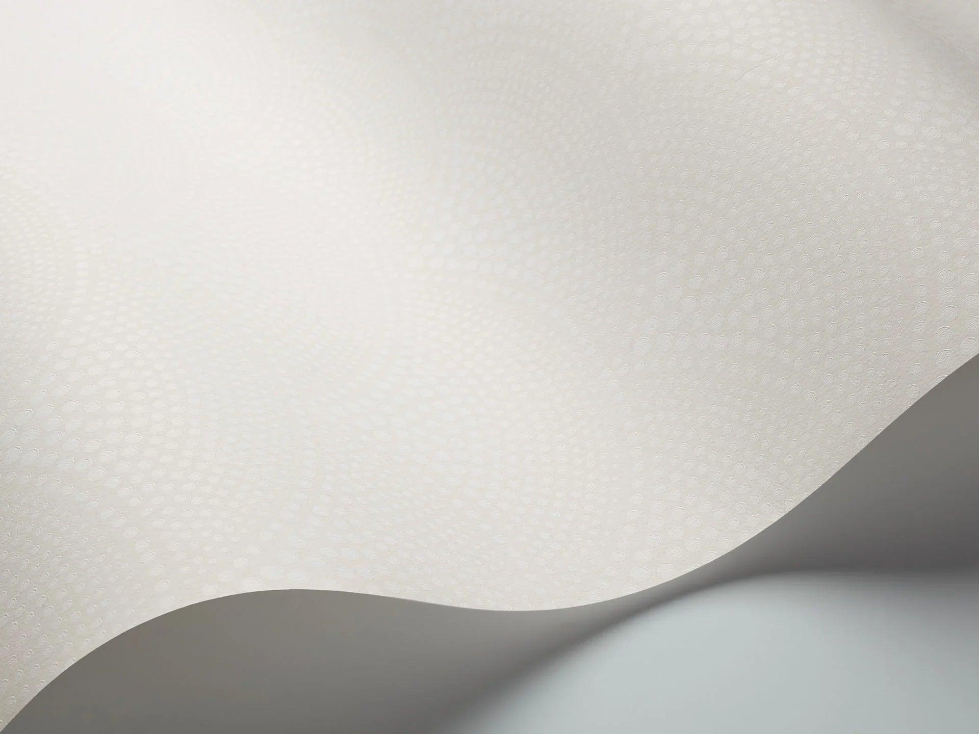 Tapeta CONTEMPORARY COLLECTION - Feather Fan biały Cole & Son Eye on Design