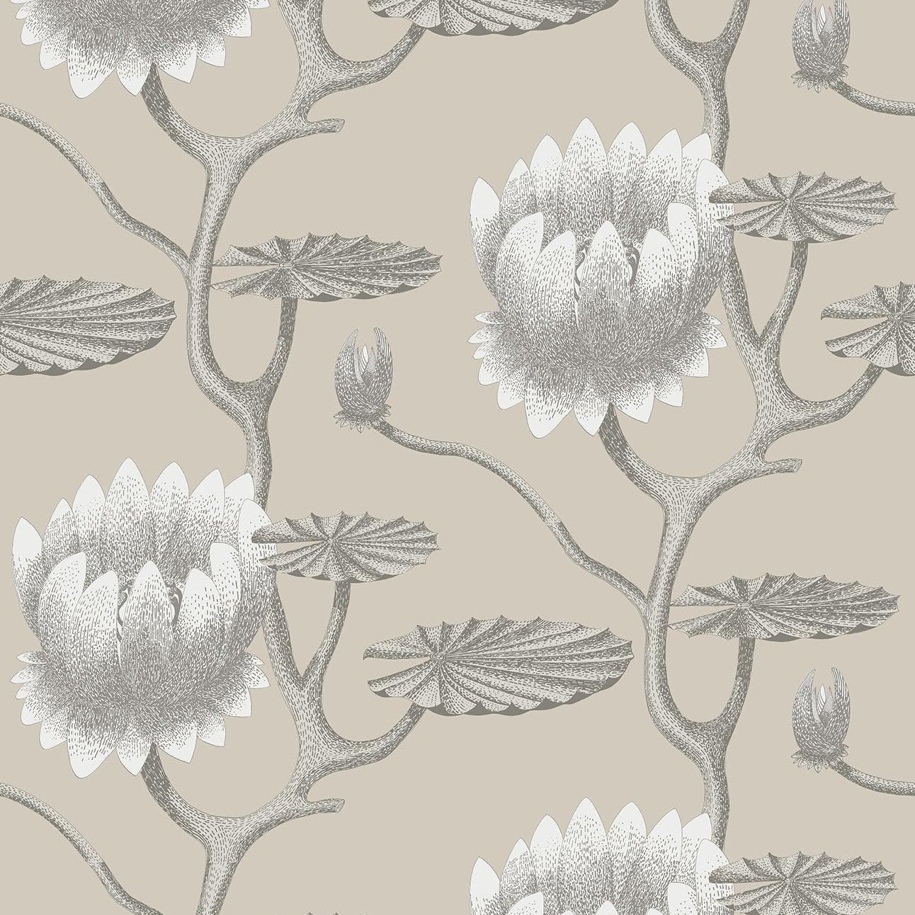 Tapeta CONTEMPORARY COLLECTION - Summer Lily biel na beżu Cole & Son Eye on Design