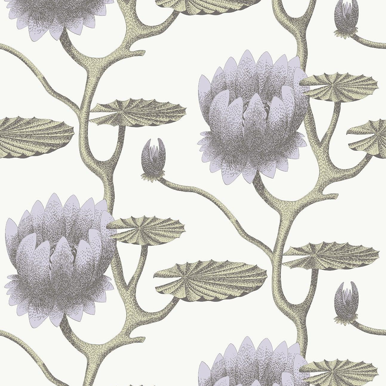 Tapeta CONTEMPORARY COLLECTION - Summer Lily fiolet na bieli Cole & Son Eye on Design