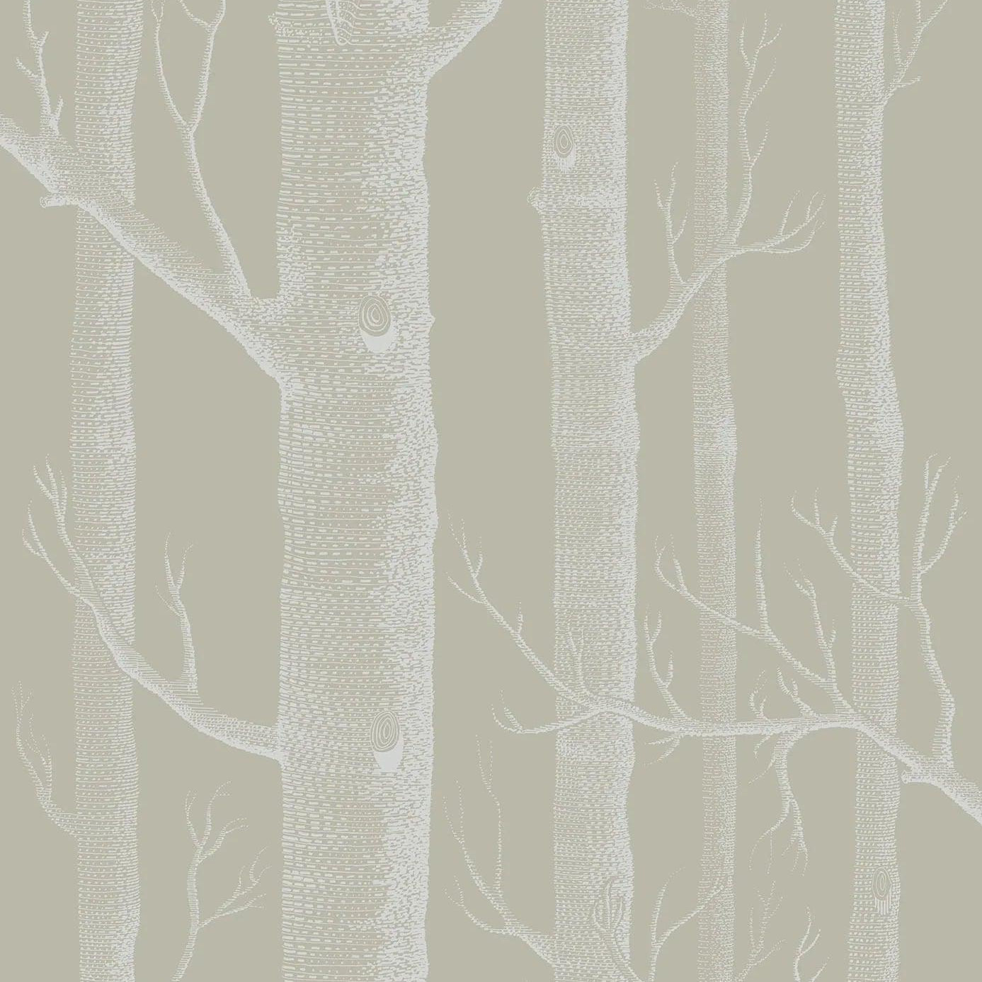 Tapeta CONTEMPORARY COLLECTION - Woods oliwkowy Cole & Son Eye on Design