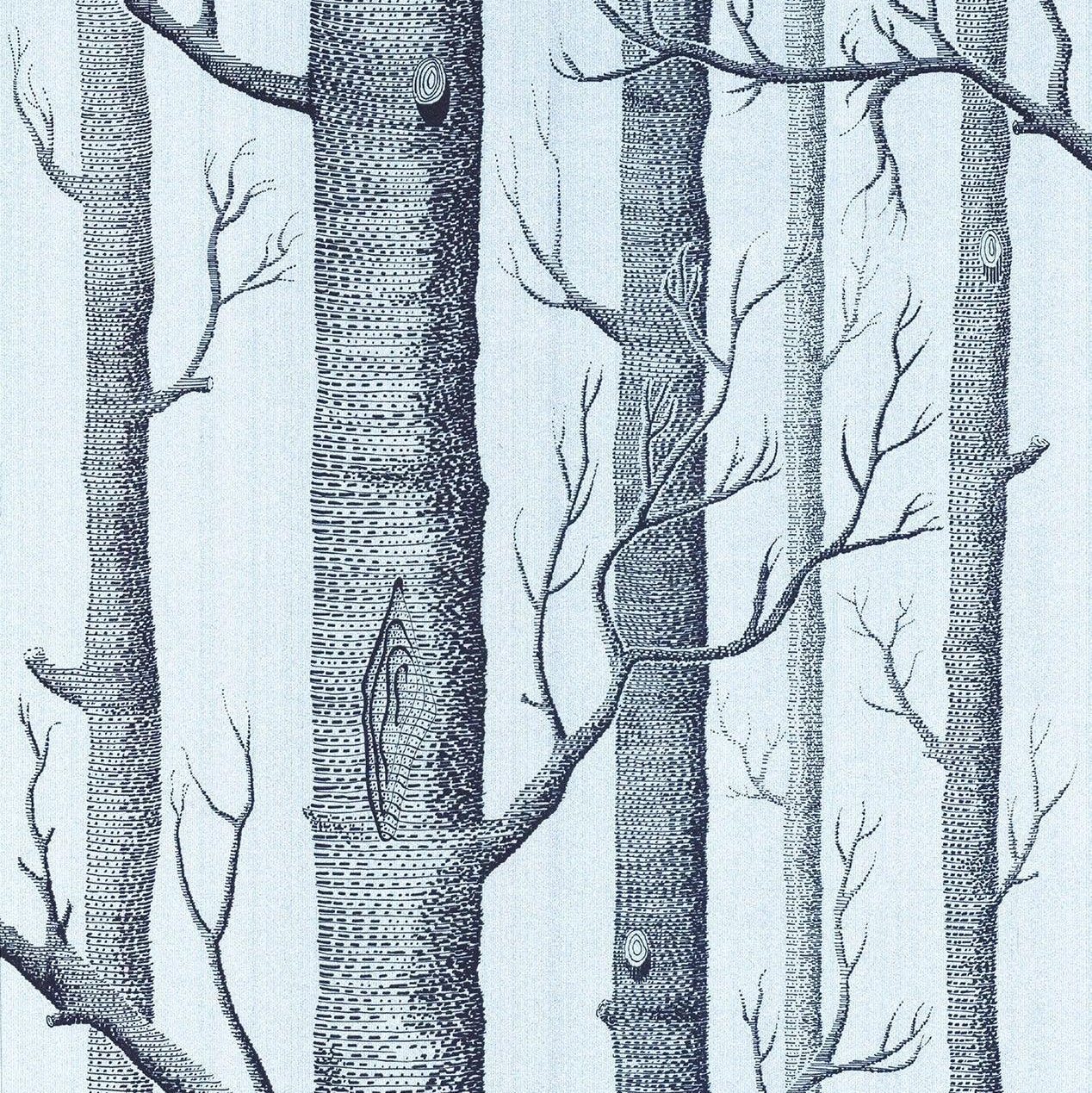 Tapeta CONTEMPORARY COLLECTION - Woods srebrna folia Cole & Son Eye on Design