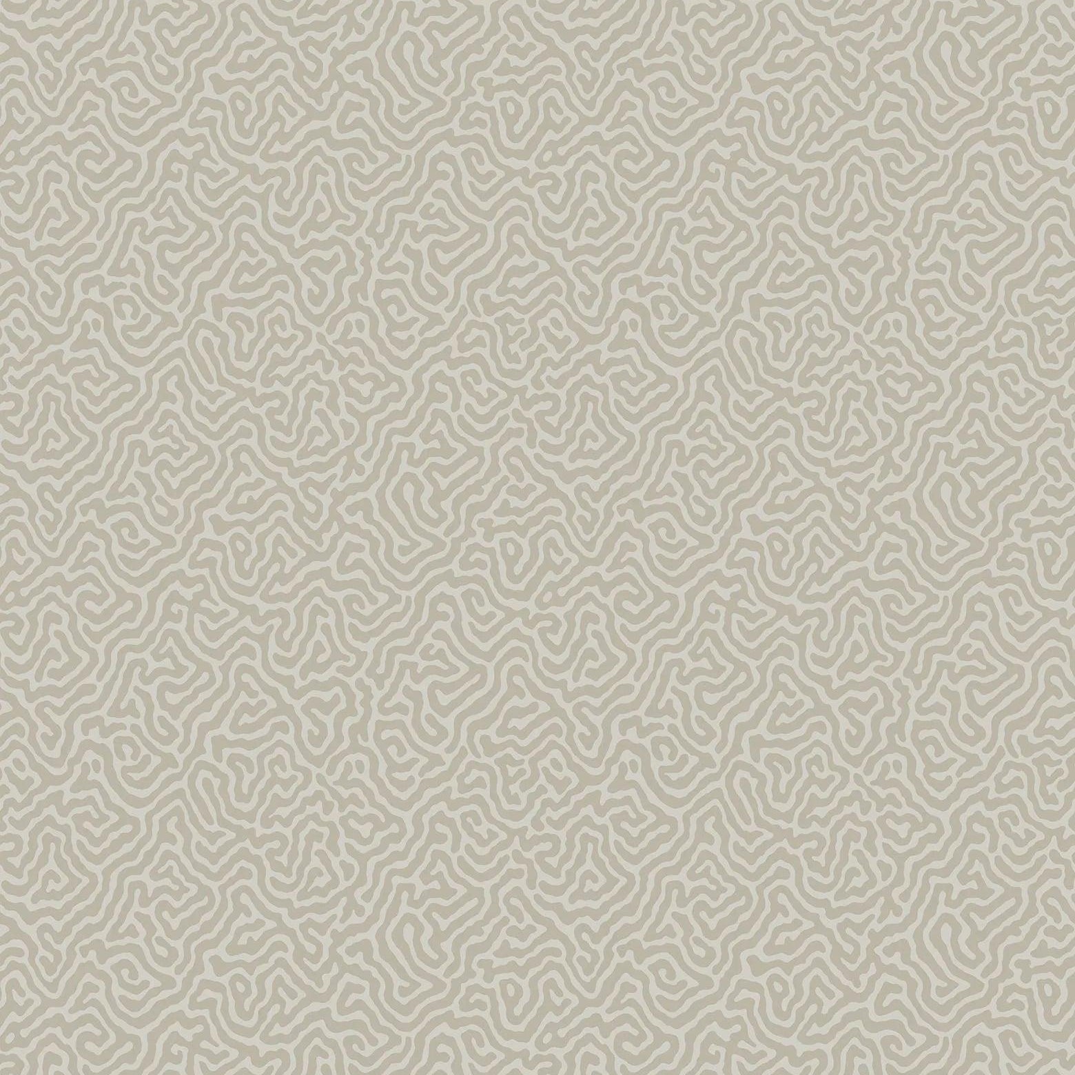 Tapeta CURIO - Vermicelli beżowy Cole & Son Eye on Design