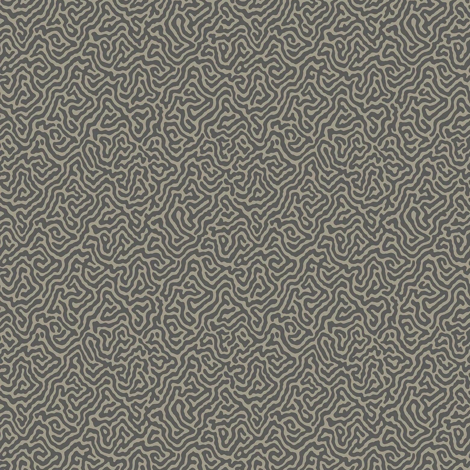 Tapeta CURIO - Vermicelli czarny Cole & Son Eye on Design