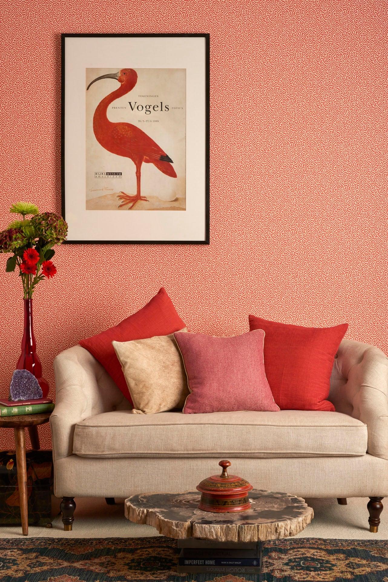 Tapeta CURIO - Vermicelli koral Cole & Son Eye on Design