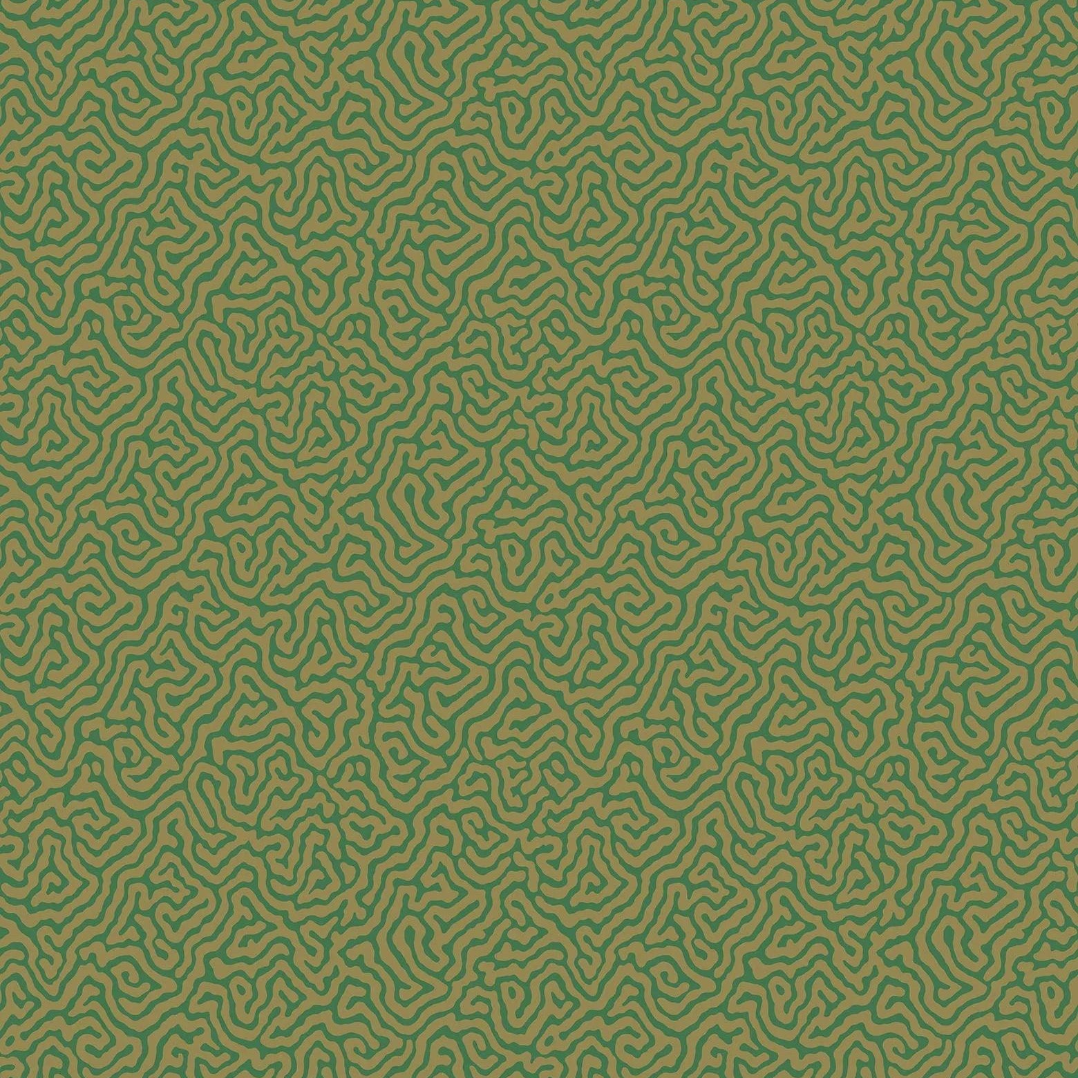 Tapeta CURIO - Vermicelli zielony Cole & Son Eye on Design