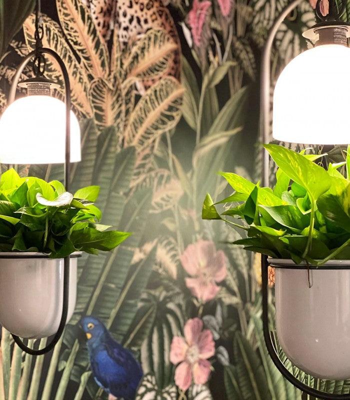 Tapeta DARK JUNGLE Wallcolors Eye on Design