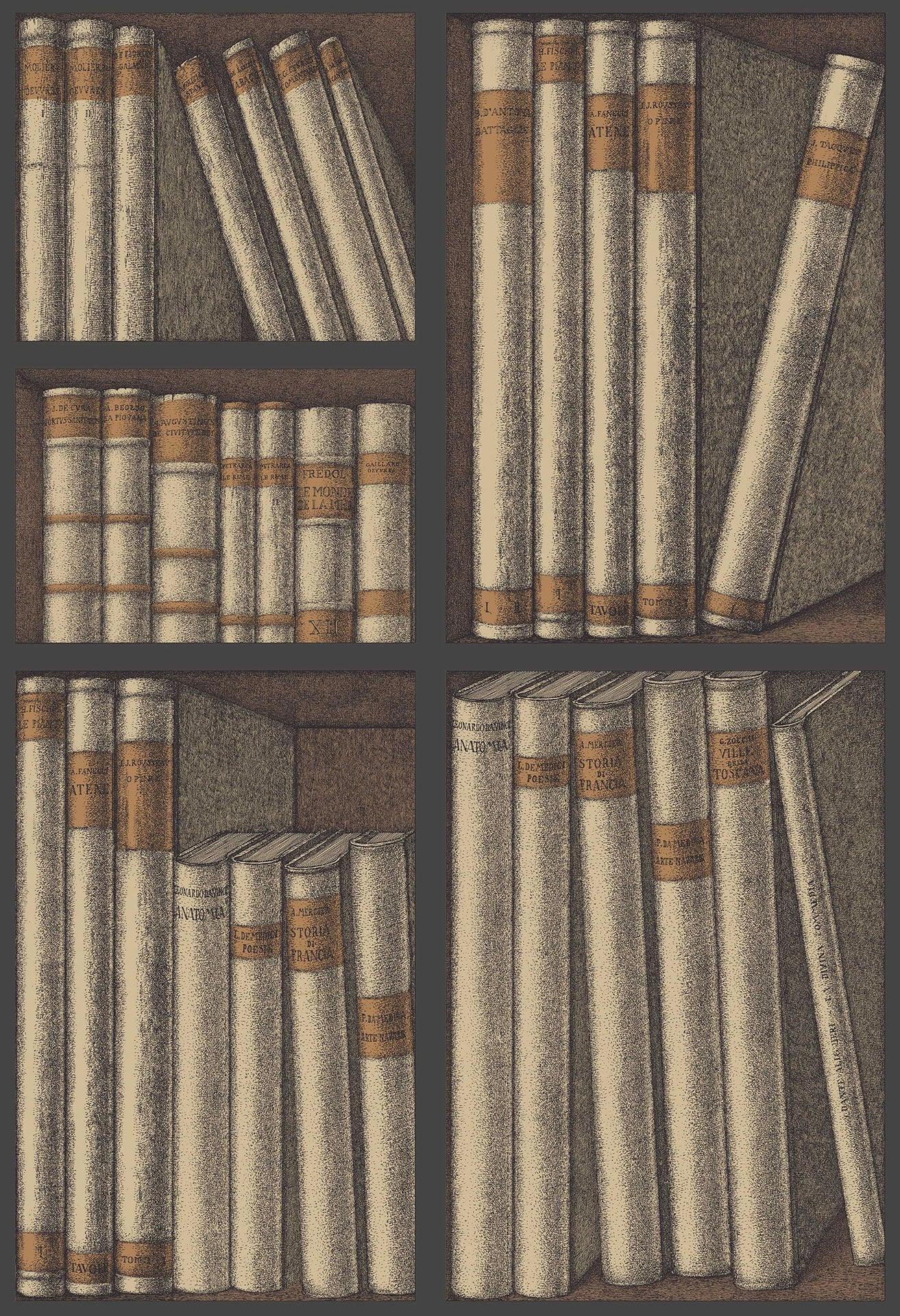 Tapeta s motívom knižnice a kníh FORNASETTI - Ex Libris ochrana