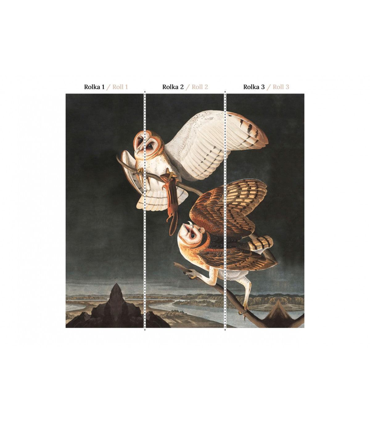 Tapeta OWLS Wallcolors Eye on Design