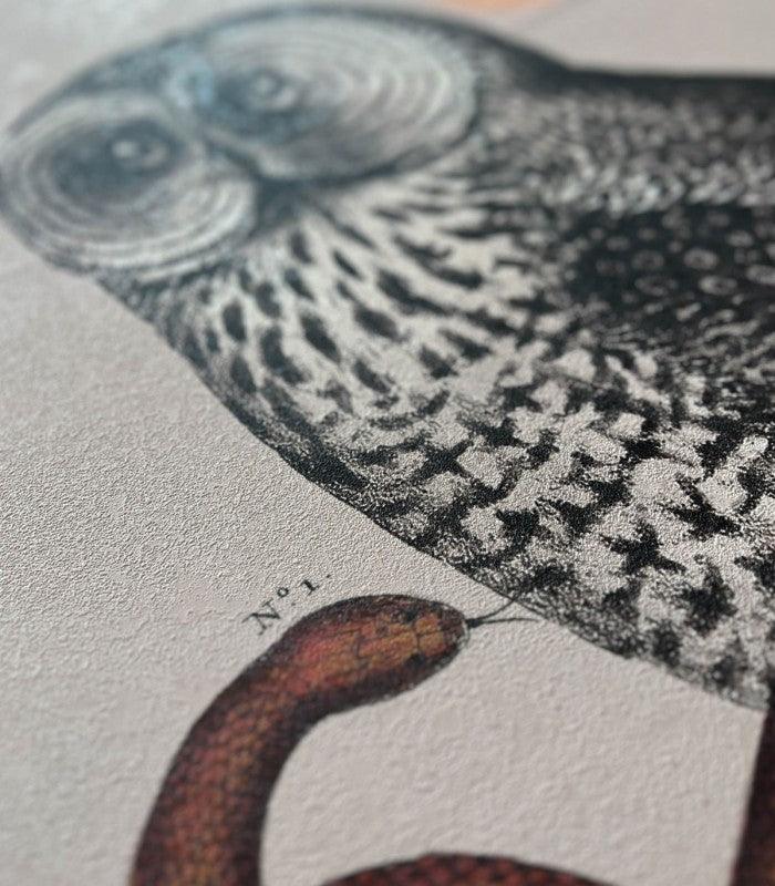 Tapeta PINK OWLS Wallcolors Eye on Design