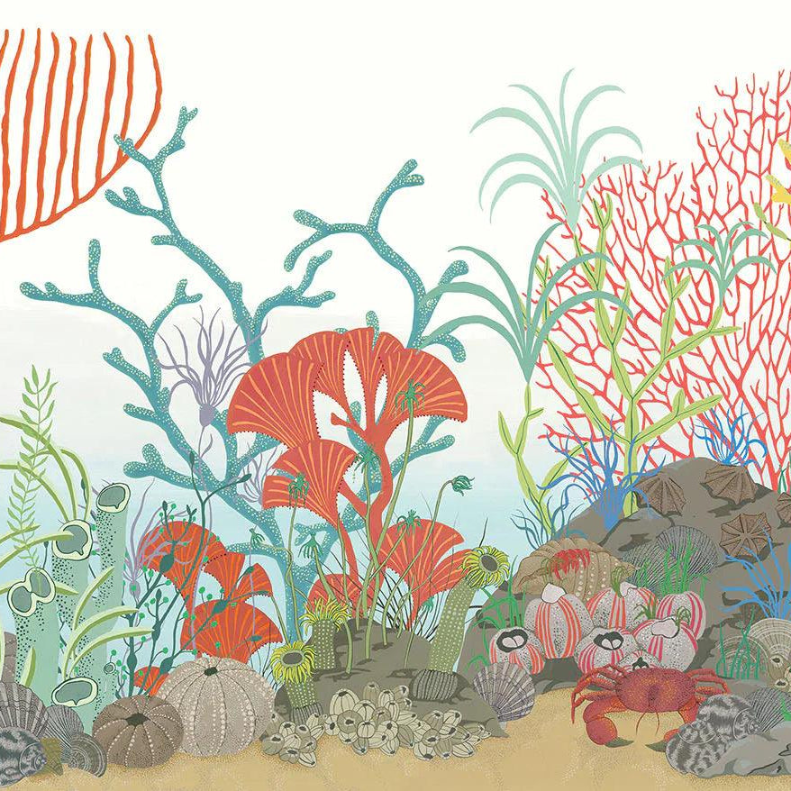 Tapeta WHIMSICAL - Archipelago Border Cole & Son Eye on Design