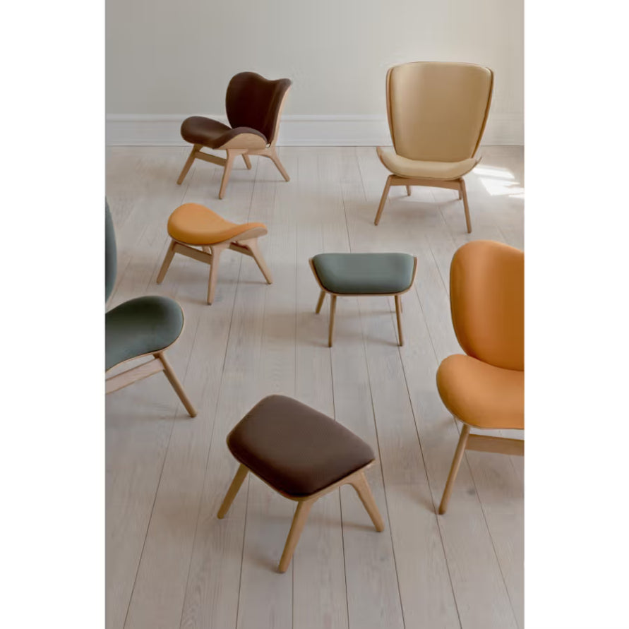 Podnožník READER šalviový s tmavým dubovým podstavcom