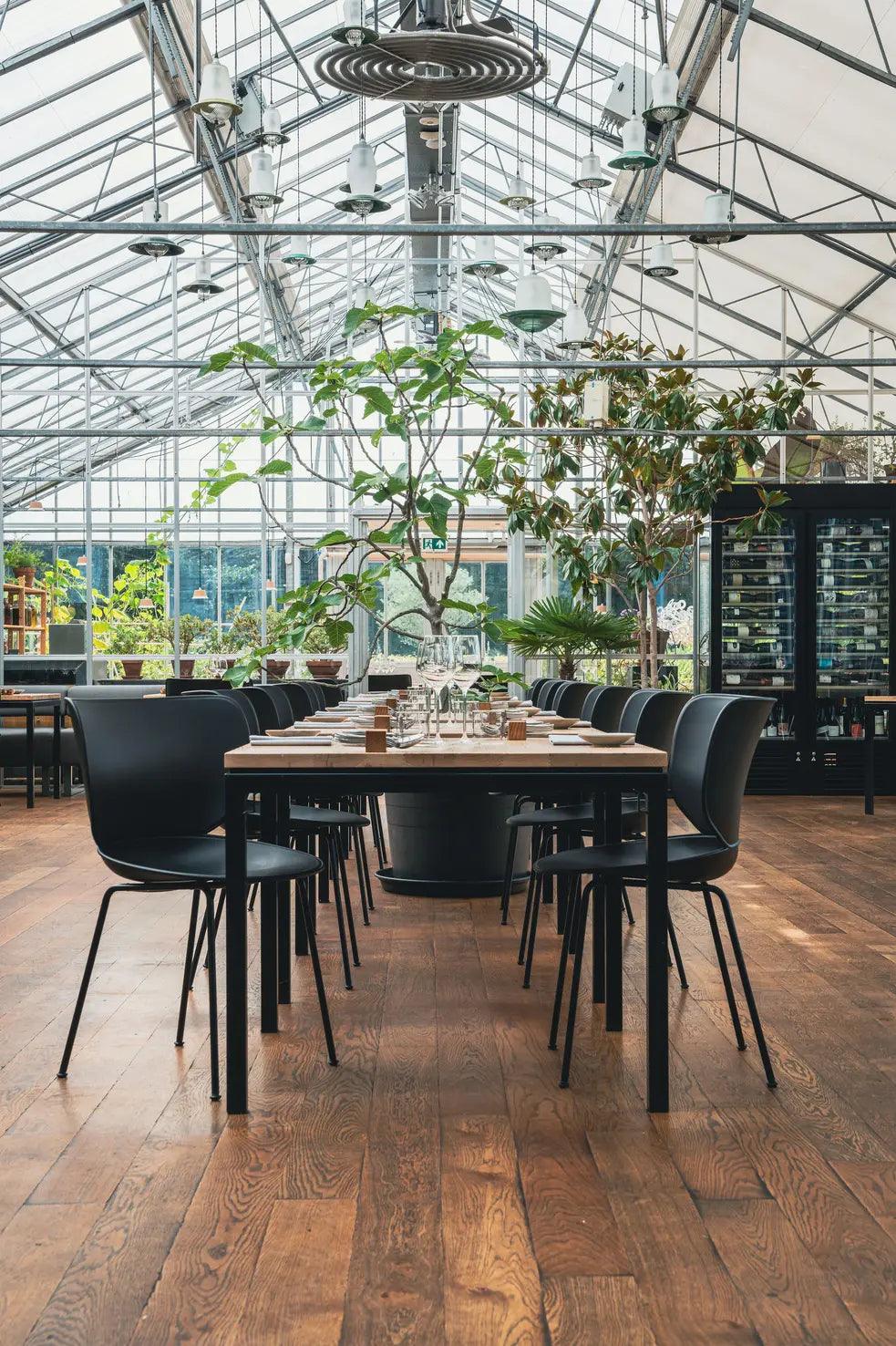 Zestaw dwóch krzeseł HANA Moooi Eye on Design