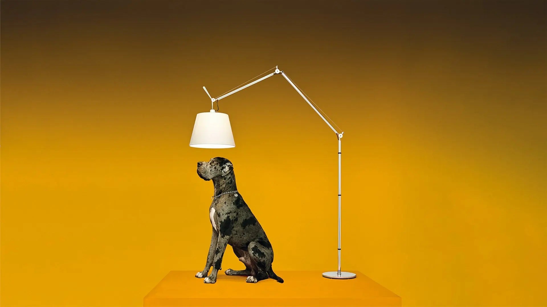 Lampy Artemide w aranżacji wnętrza