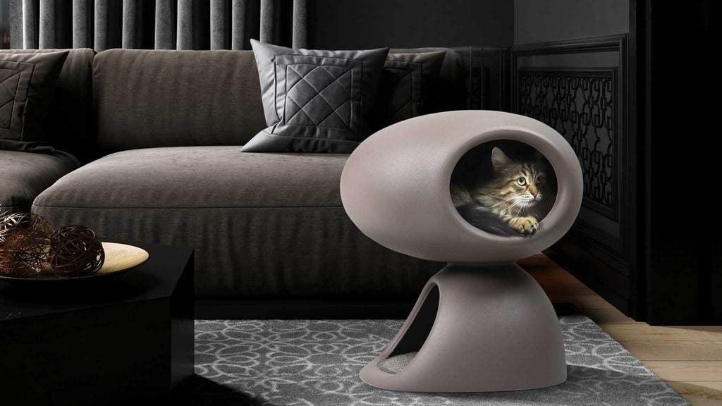 Pet accessories - Eye on Design