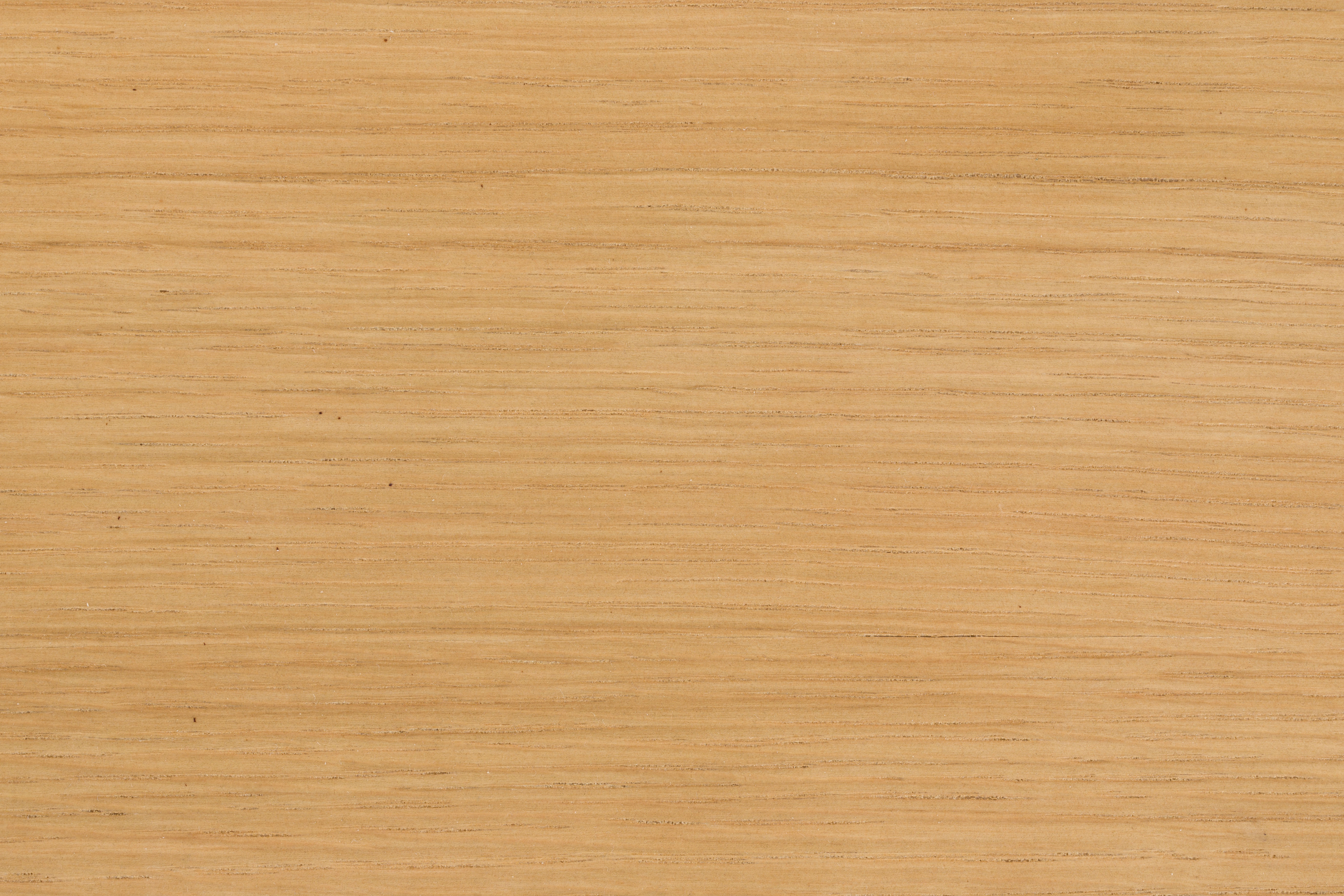 NORTHWOOD Chair Light Brown