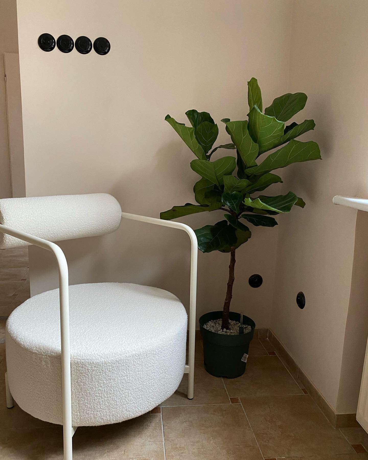 Fotel SAFFRON čalúnený