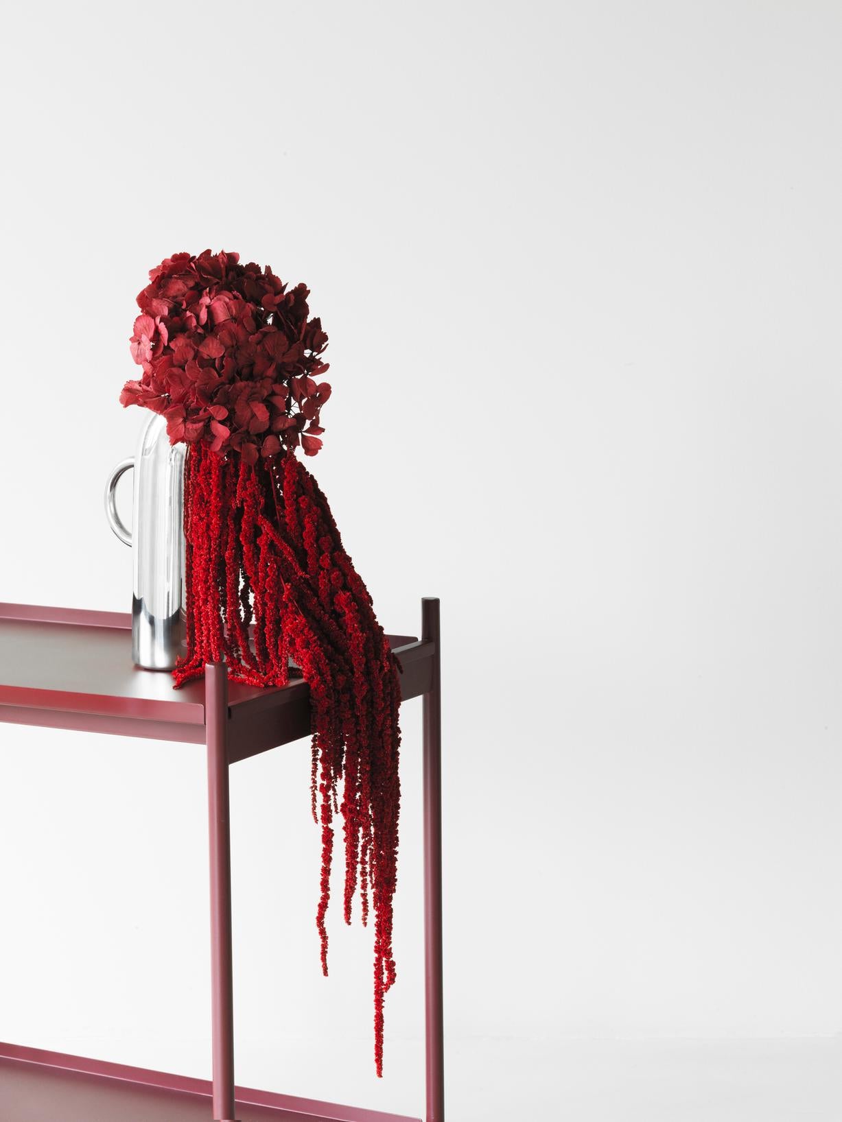 Barový vozík RUL bordový