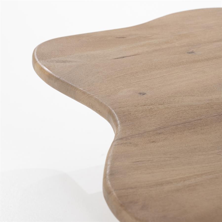 Súprava kávových stolíkov FALL mango drevo