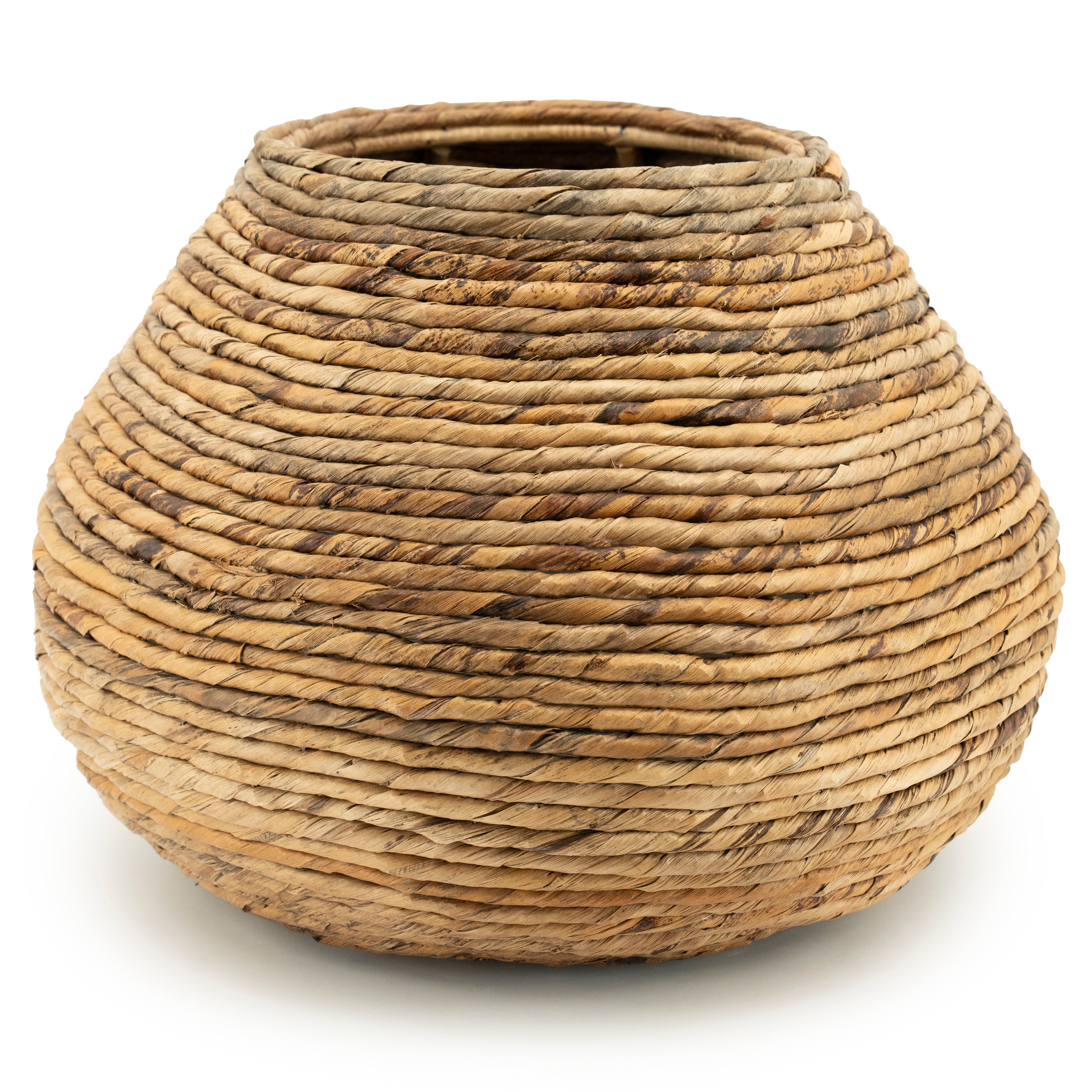 BENTI Banana Plant Pot