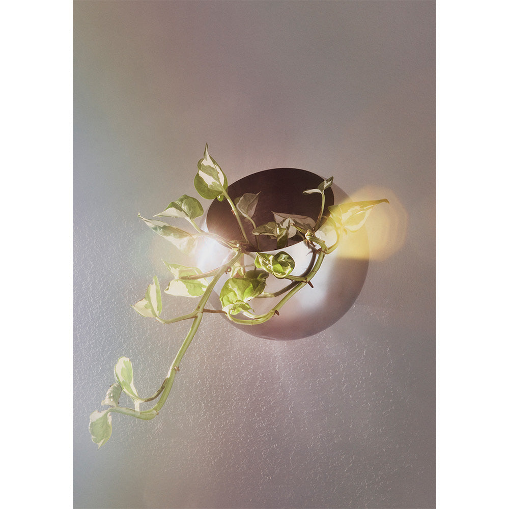 GLOBE Silver Wall Planter