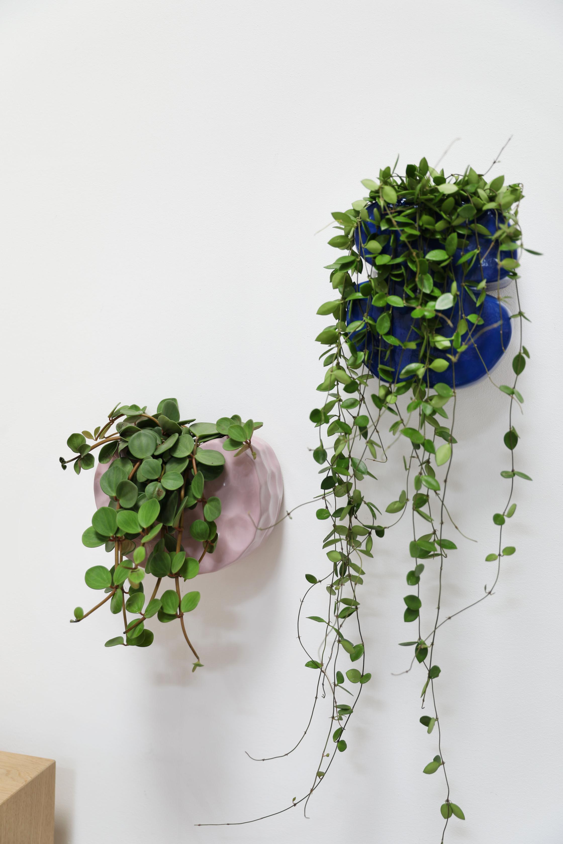 Nástenný kvetináč CLAY lila