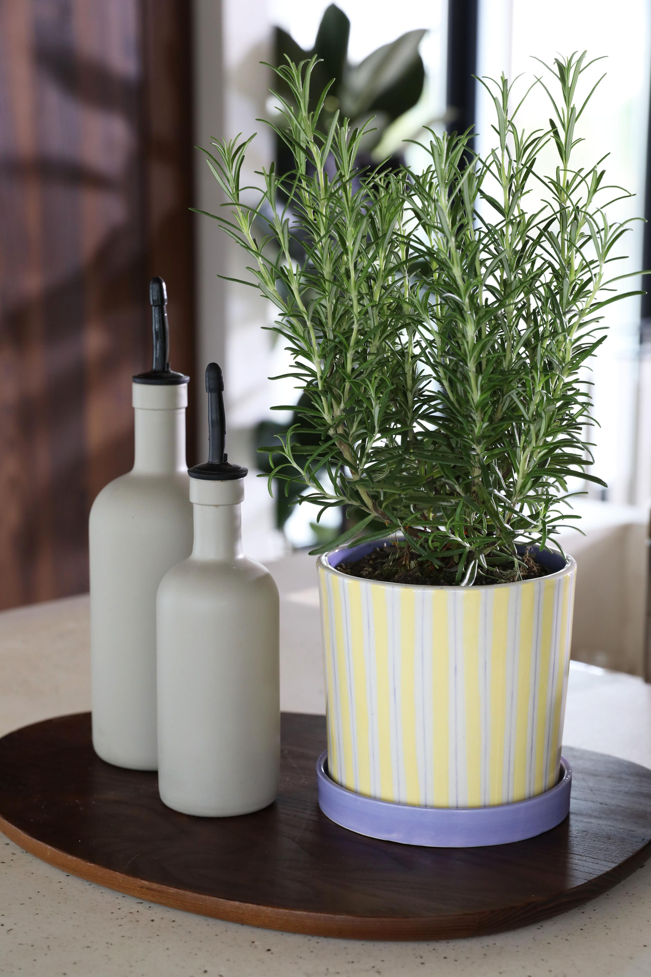 Kvetináč RAY žltý s fialovým