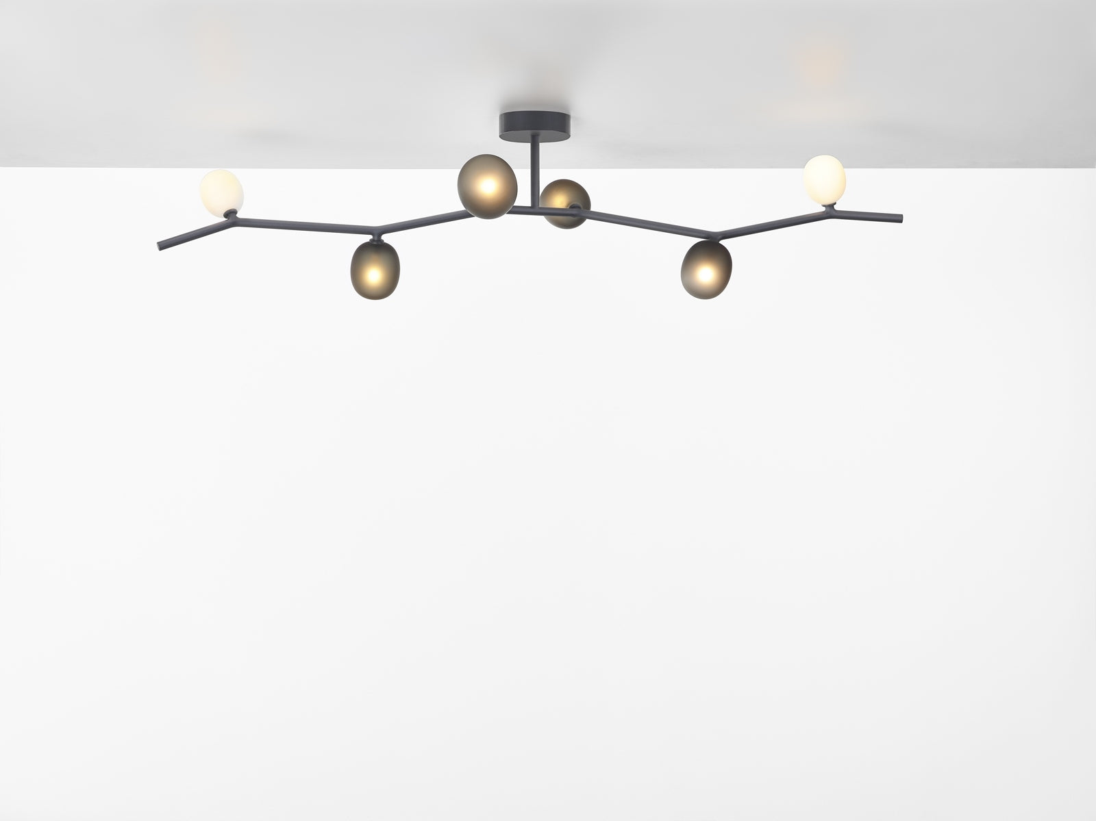 Stropná lampa IVY matné sklo