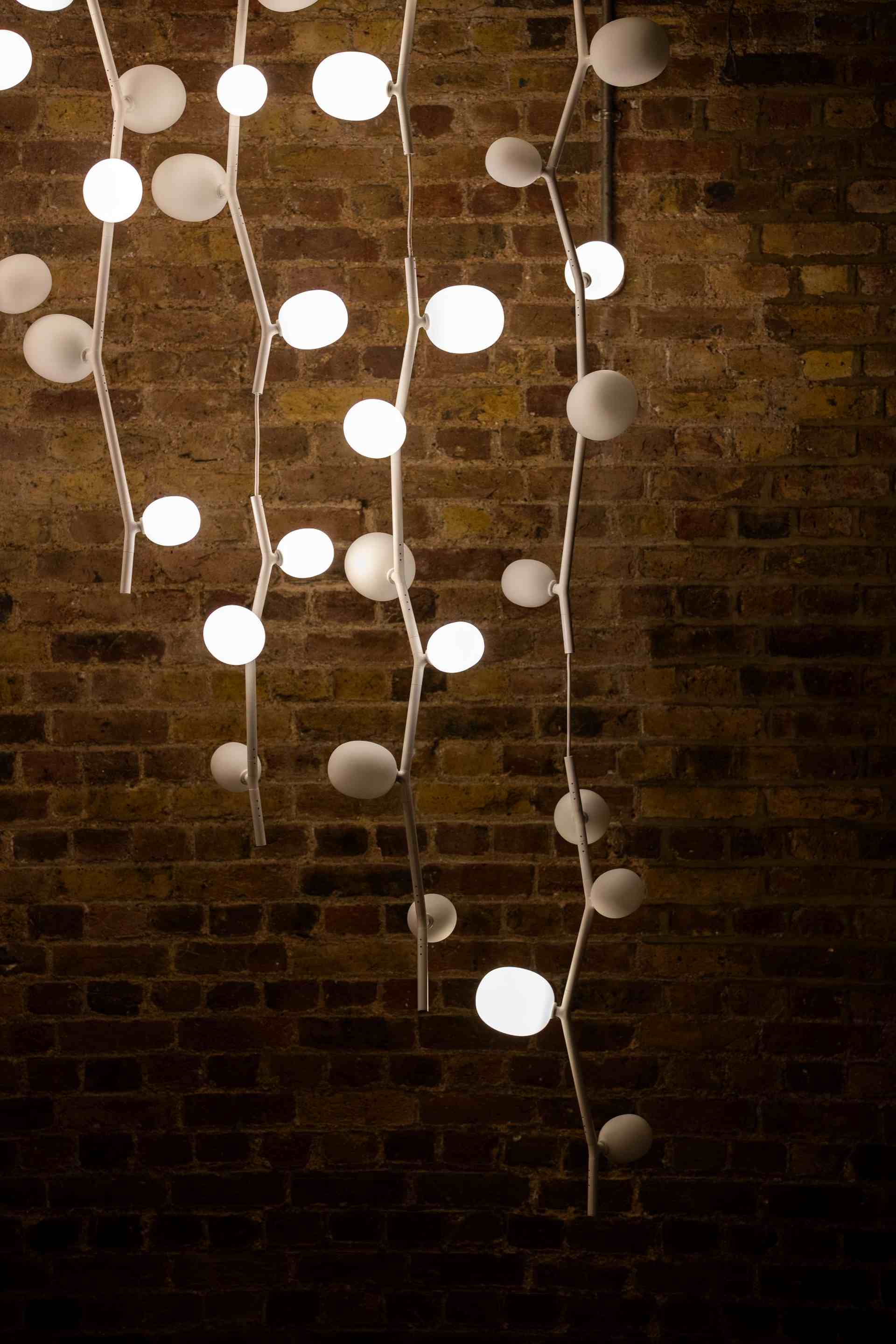 Ivy hanging lamp - vertical matt glass